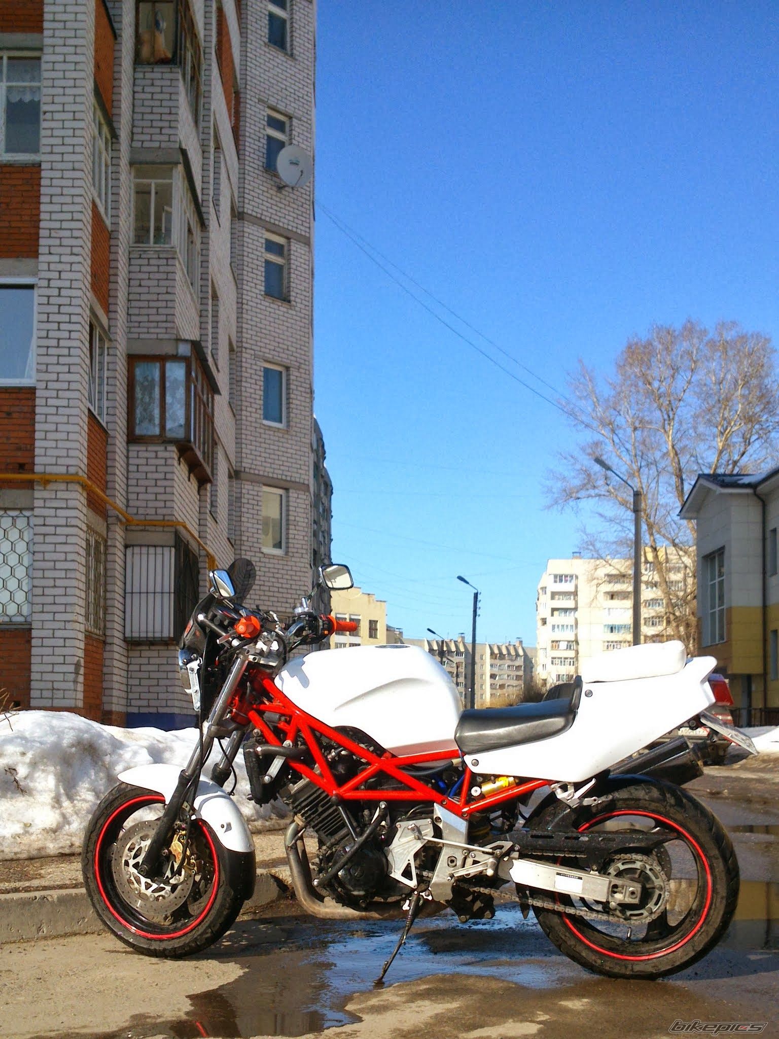 Photo 2653691