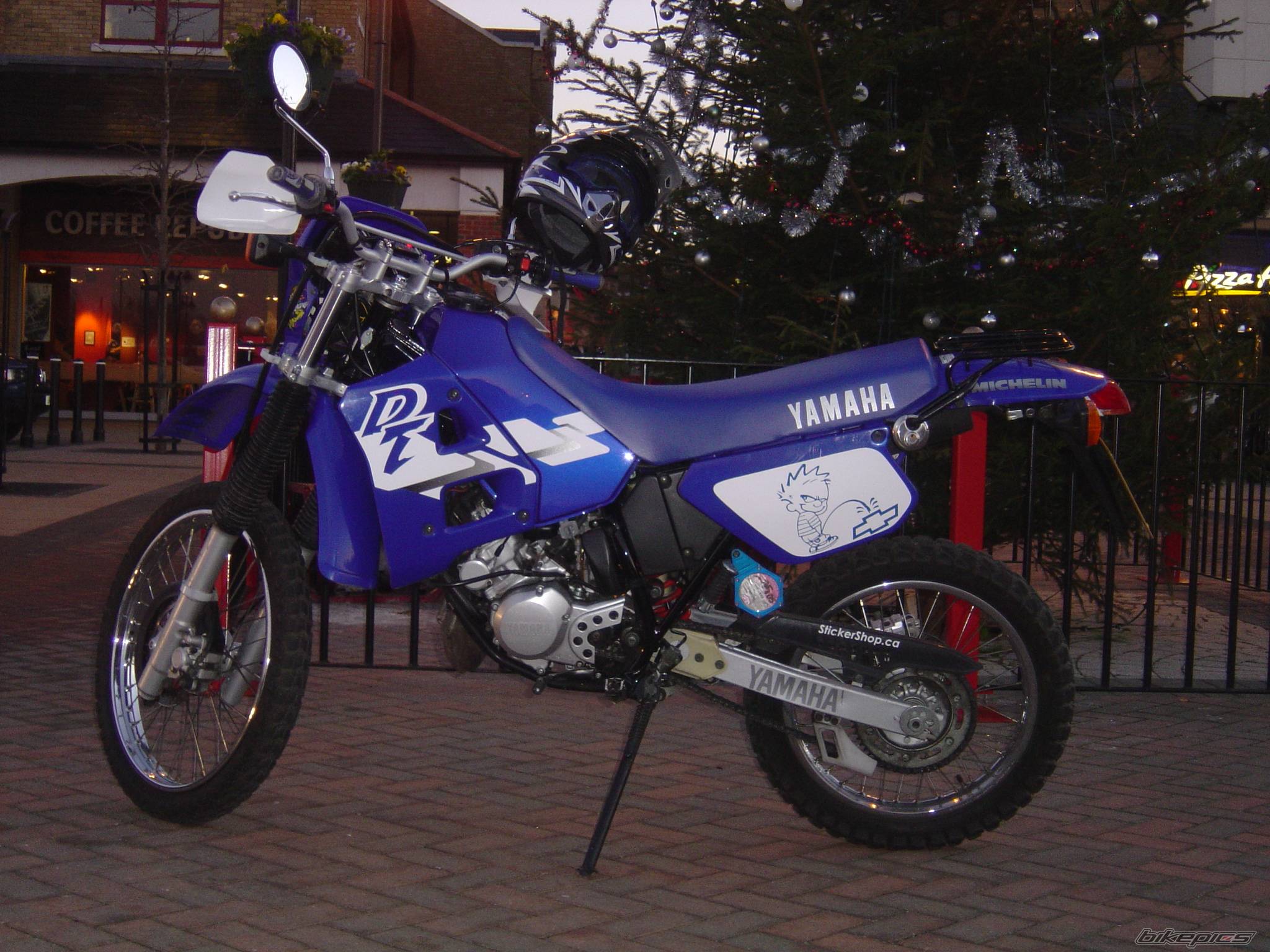 Photo 265373