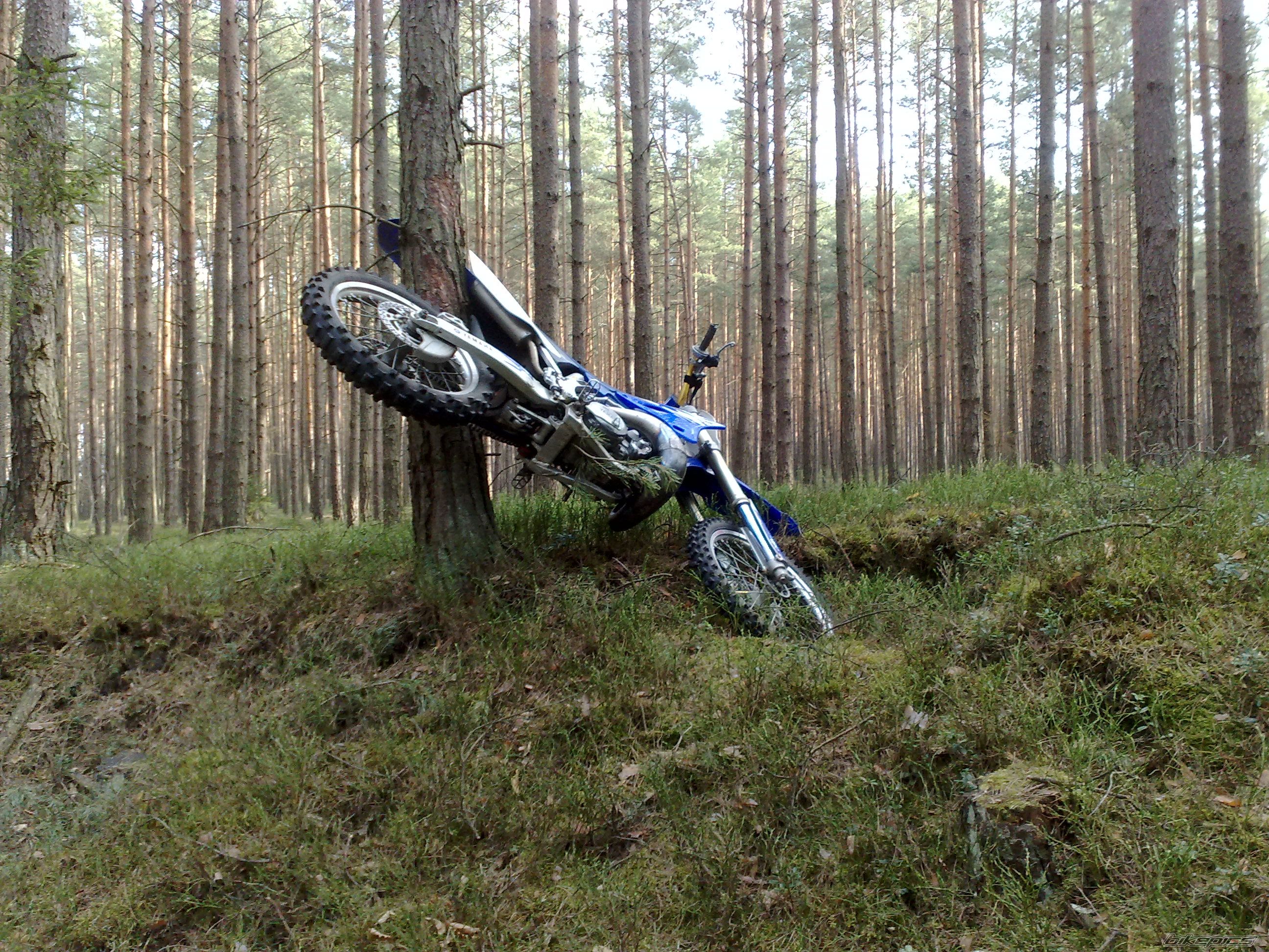 Photo 2653933