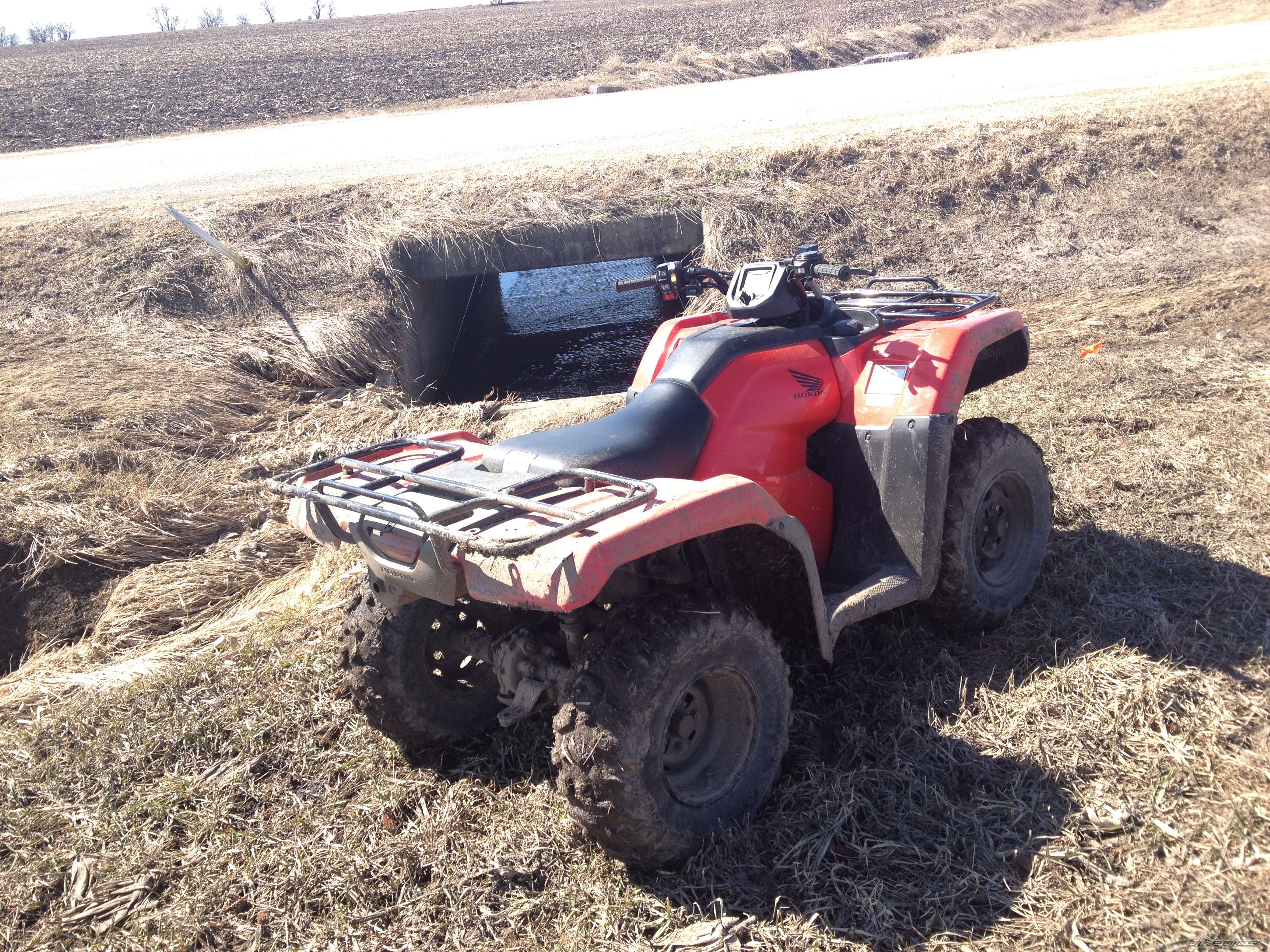Photo 2653949