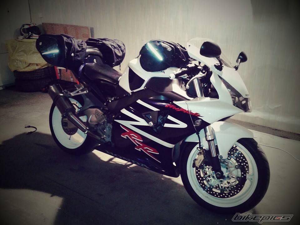 Photo 2653954