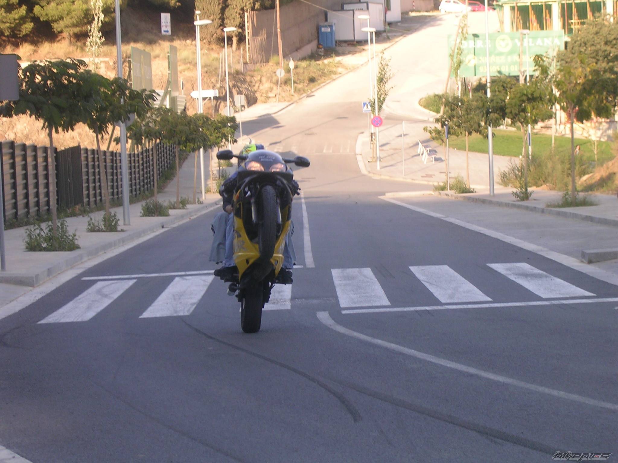 Photo 265397