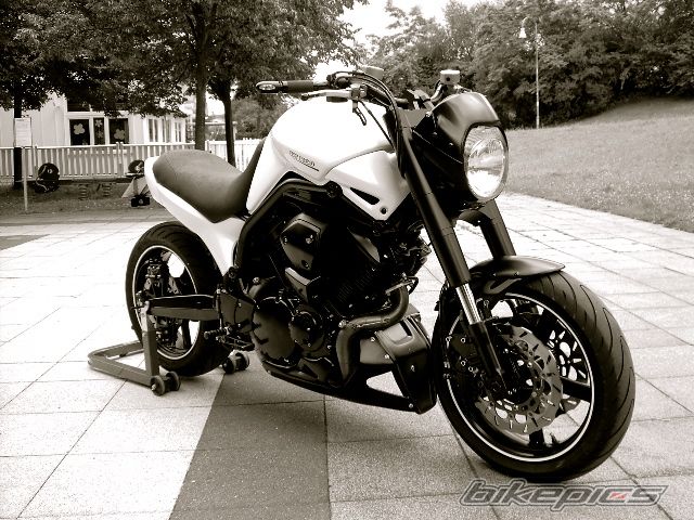 Photo 2653976