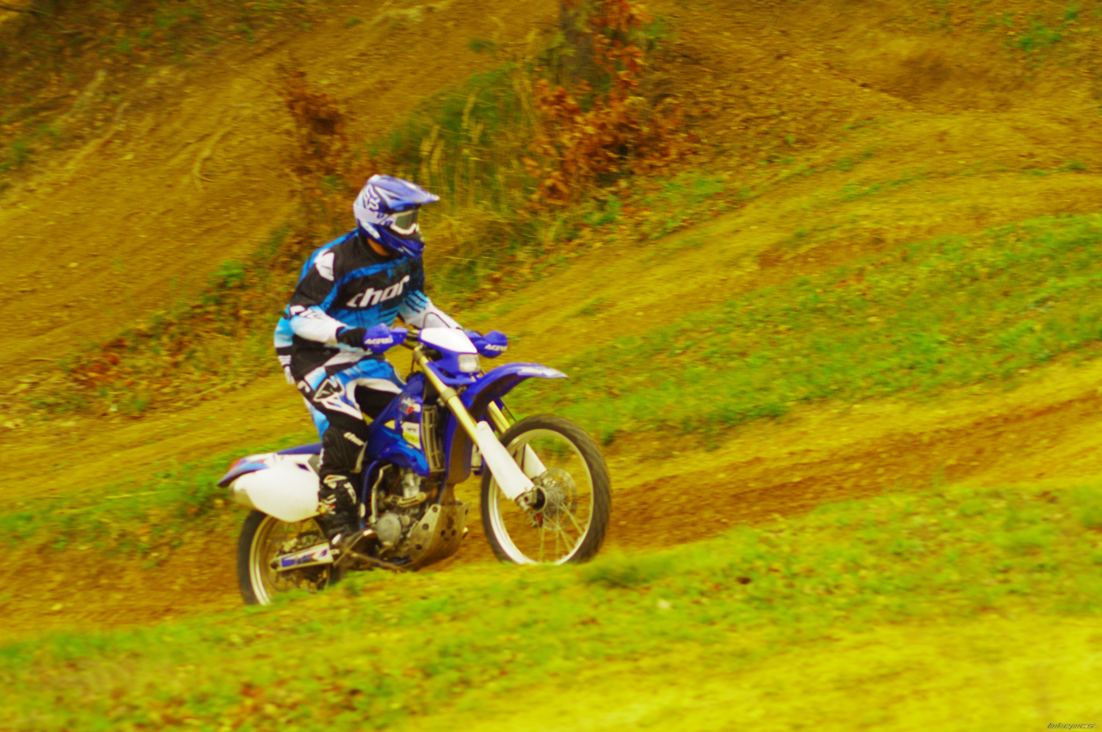 Photo 2654149