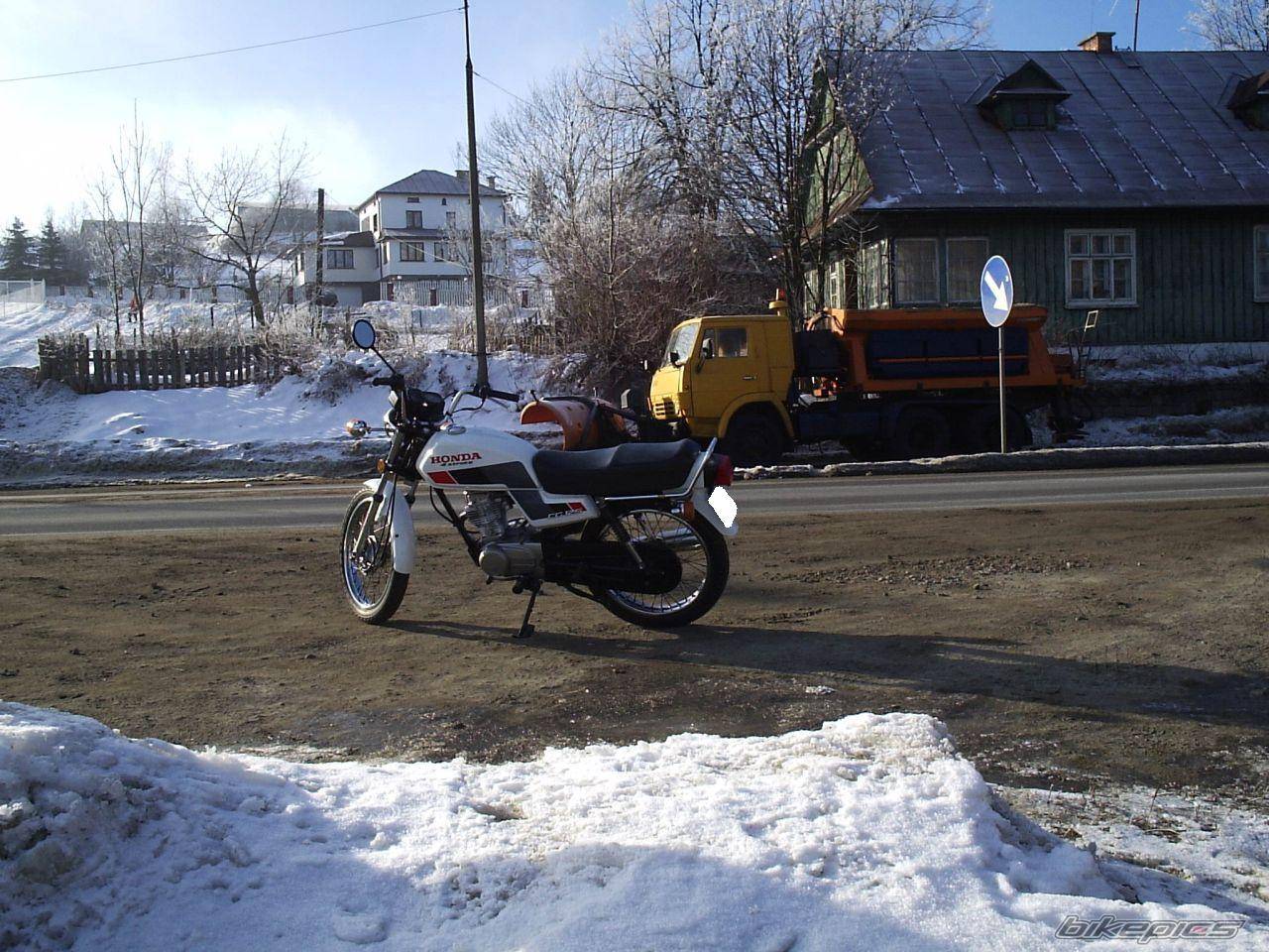 Photo 265415