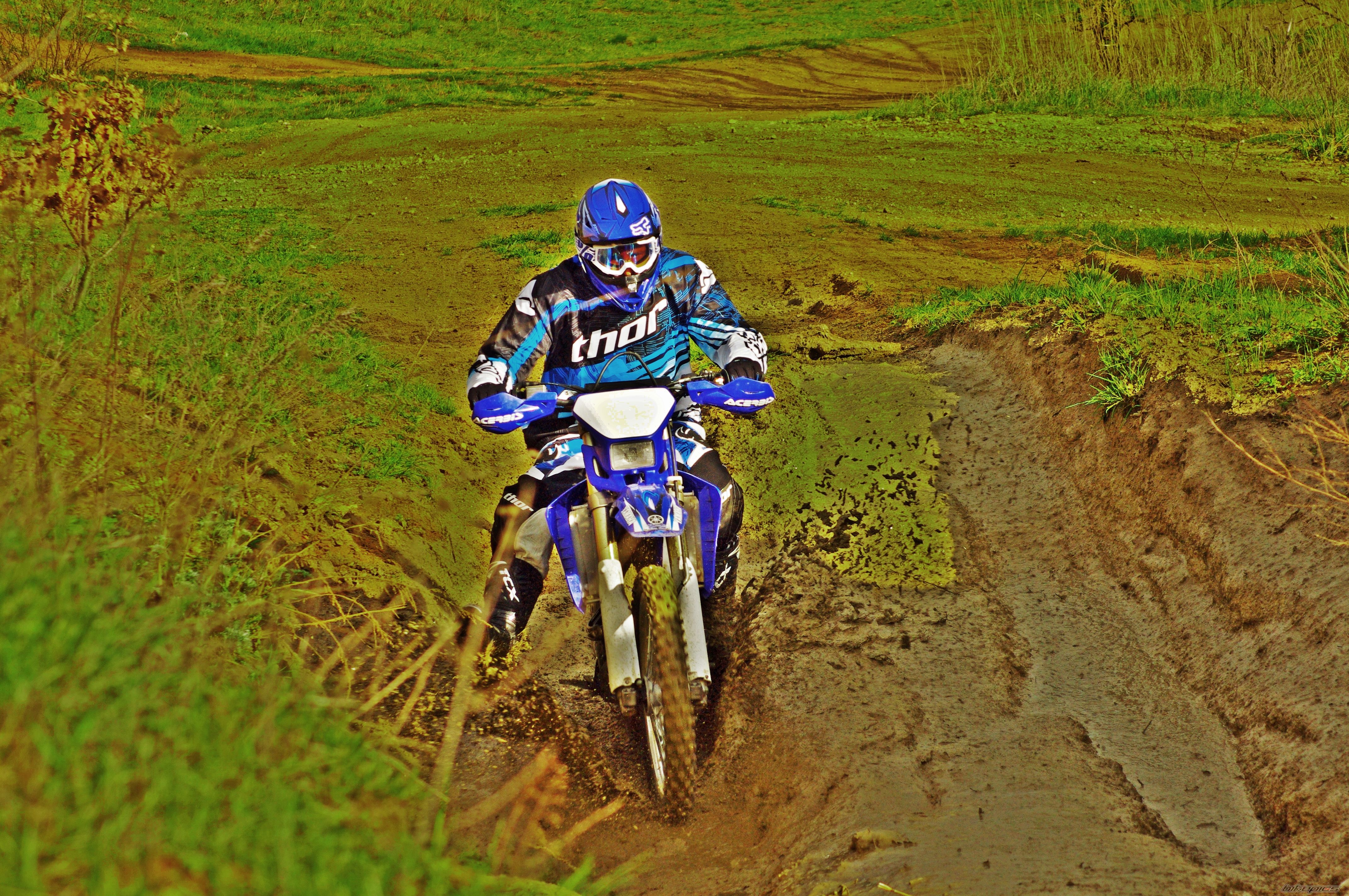 Photo 2654153