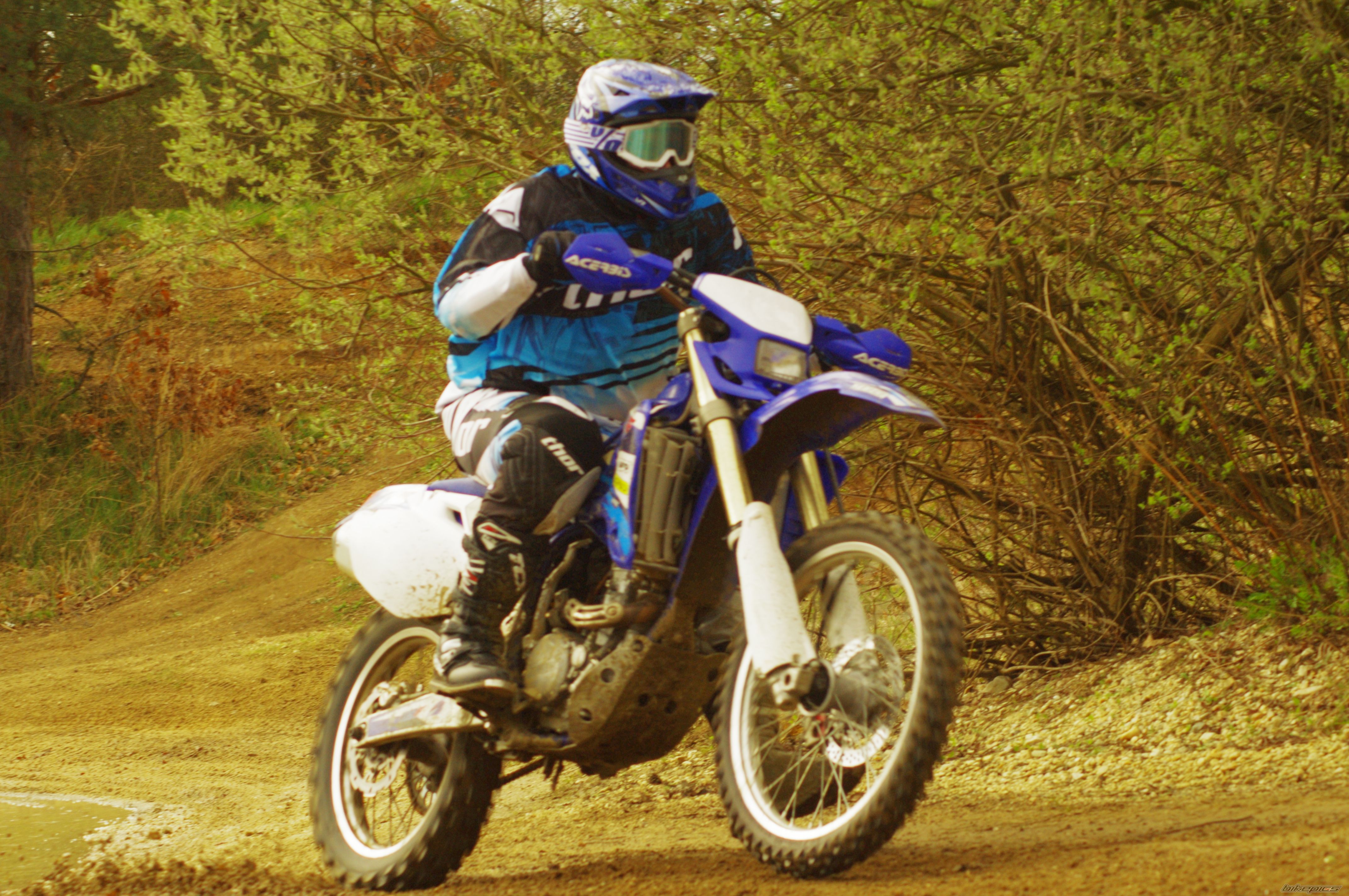 Photo 2654174