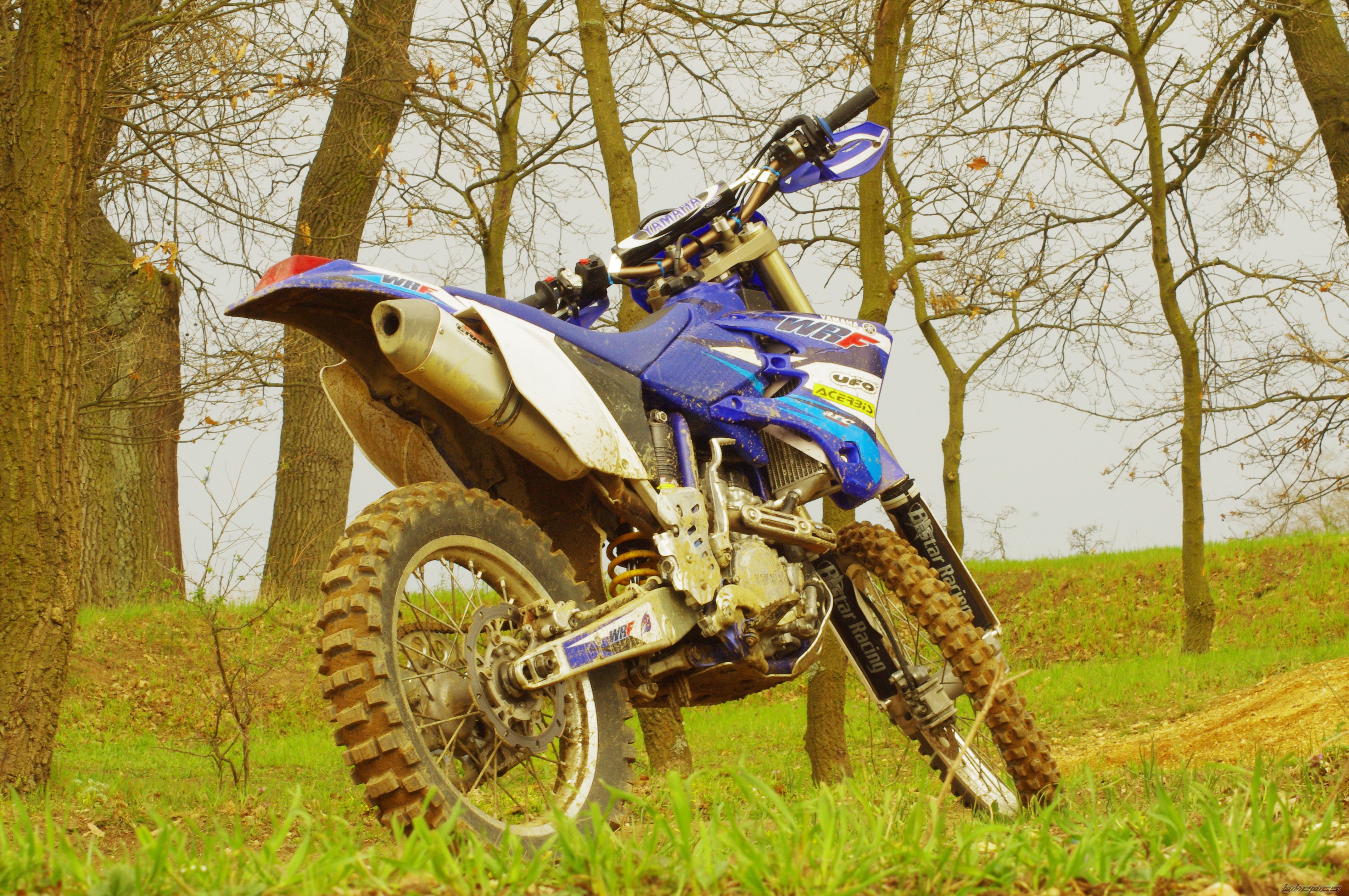 Photo 2654180