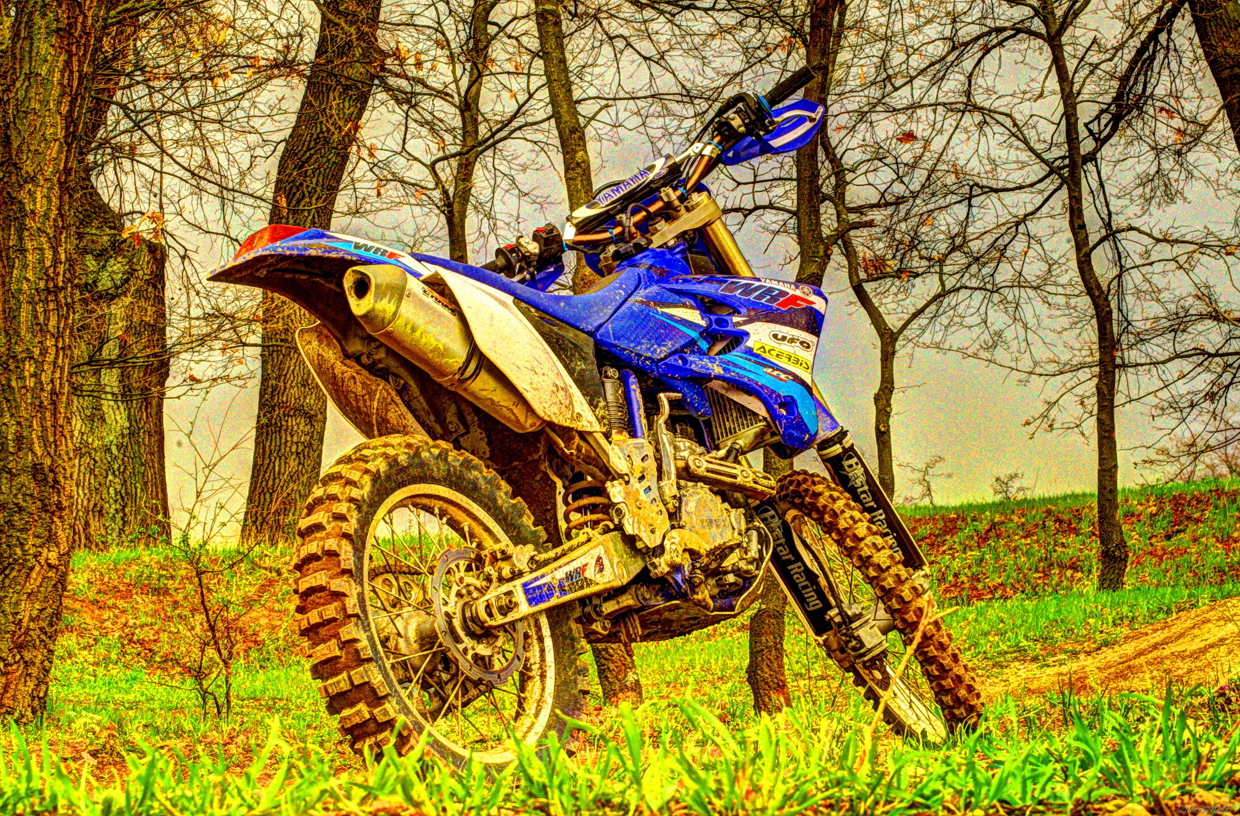 Photo 2654185