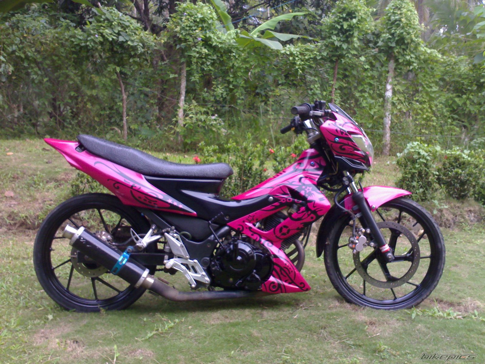 Photo 2654246