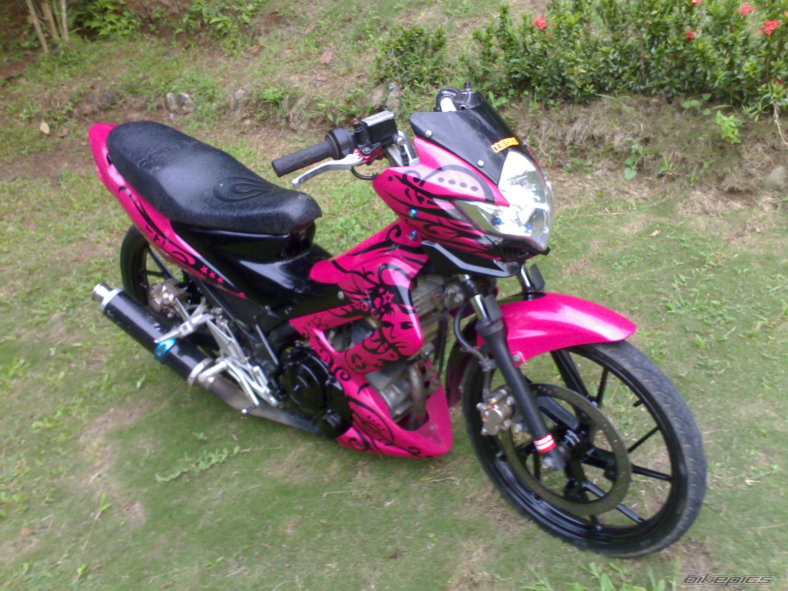 Photo 2654249