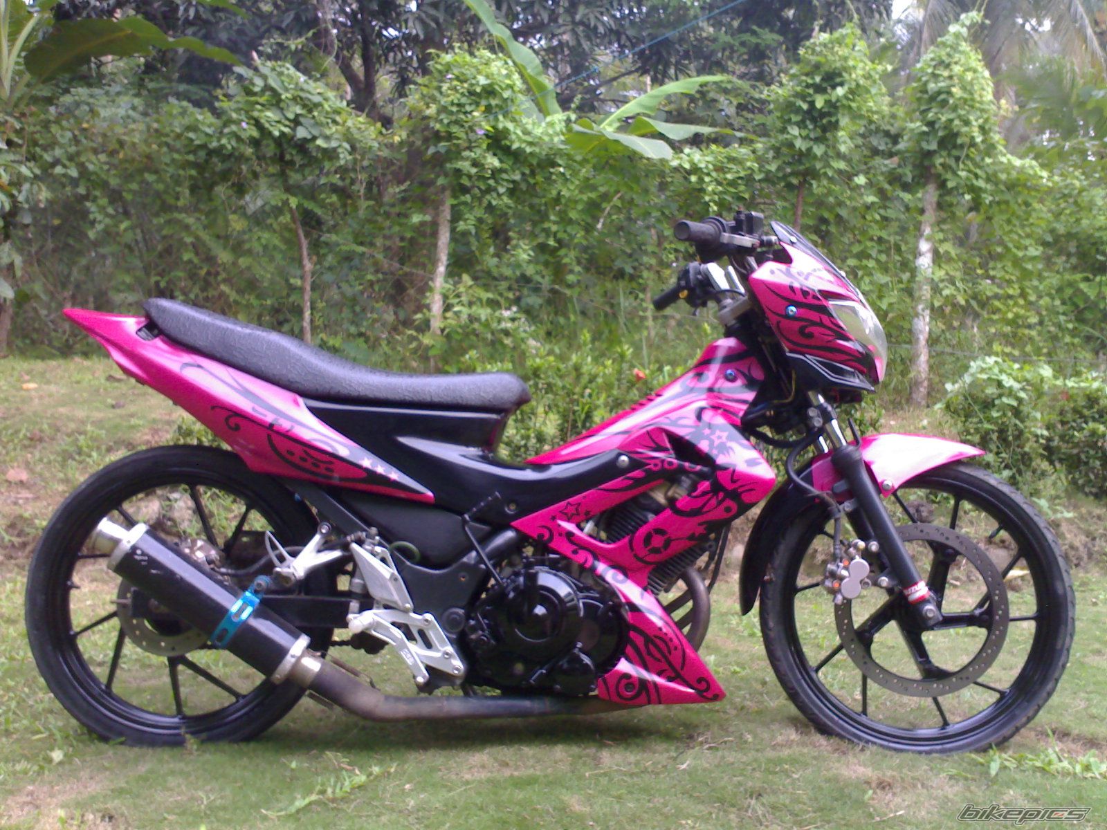 Photo 2654250