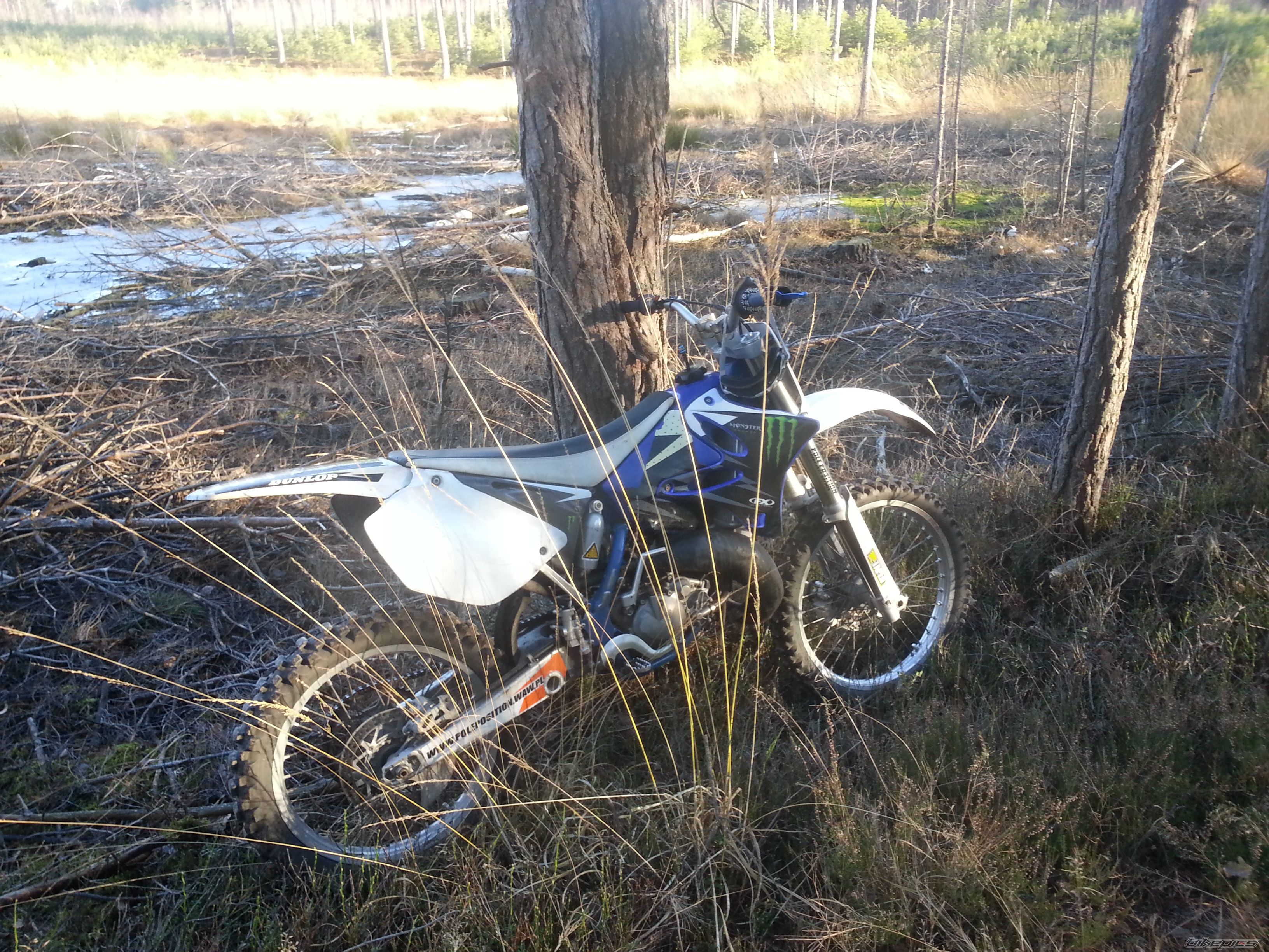 Photo 2654283