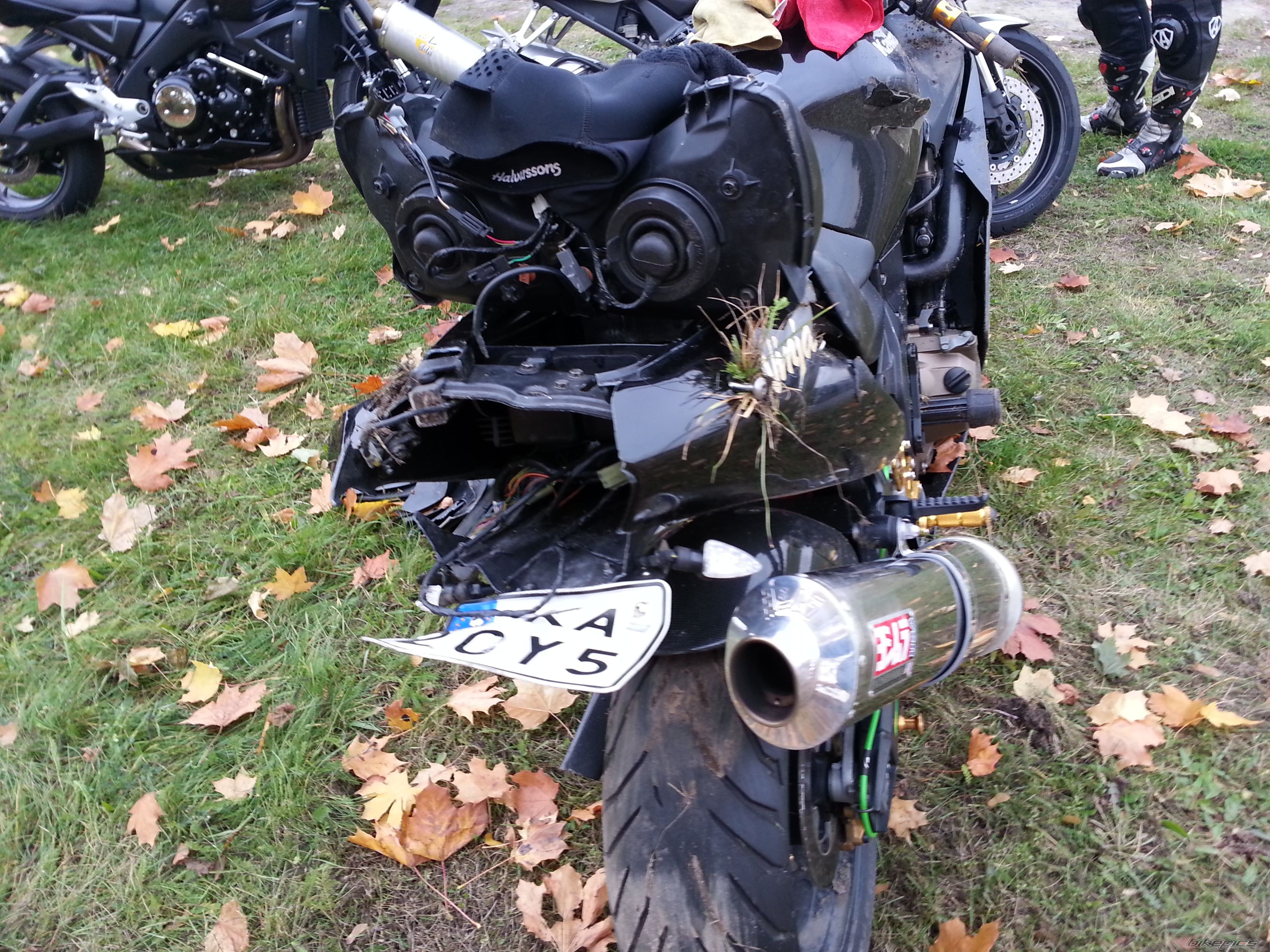 Photo 2654391