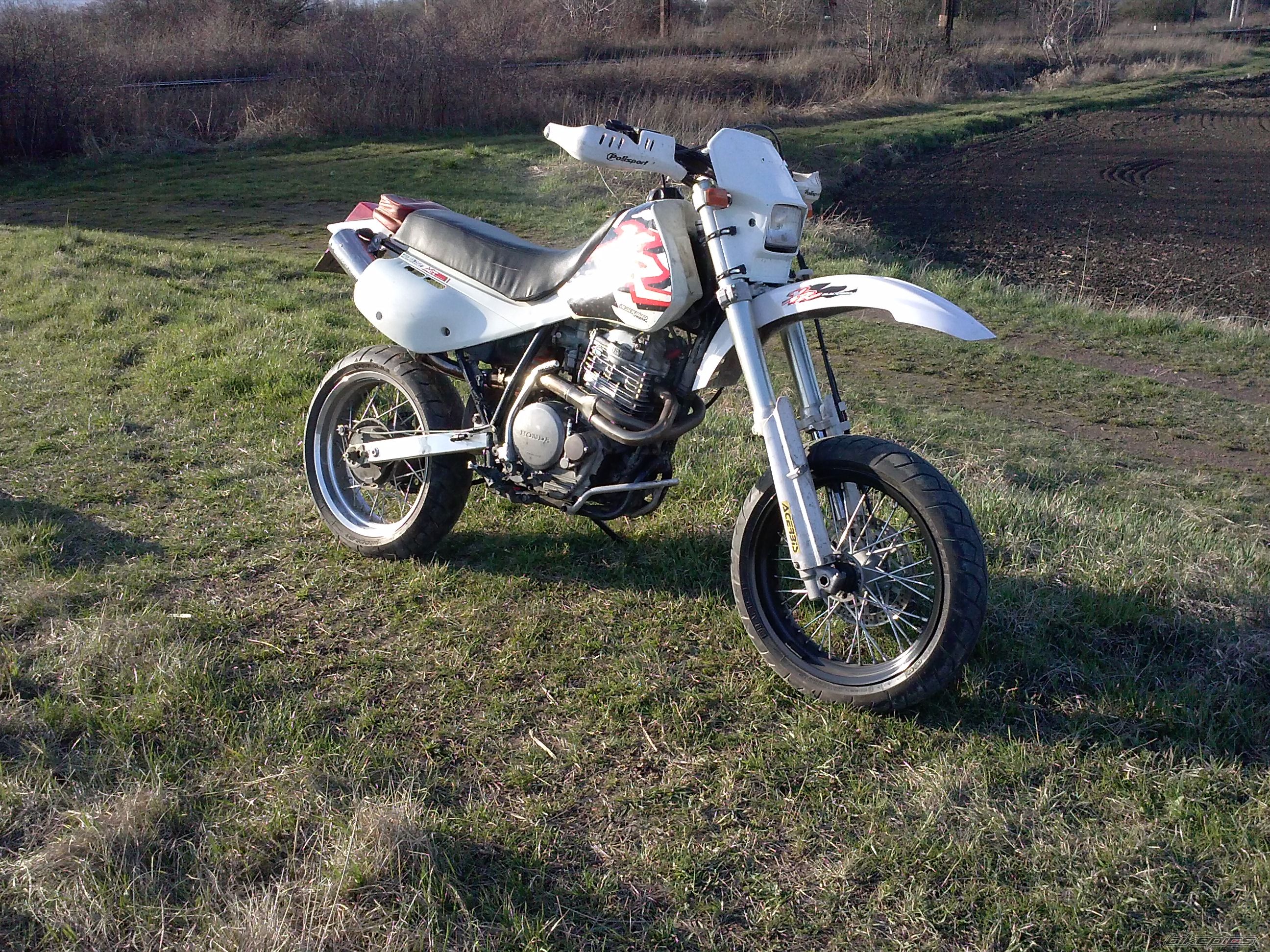 Photo 2654393