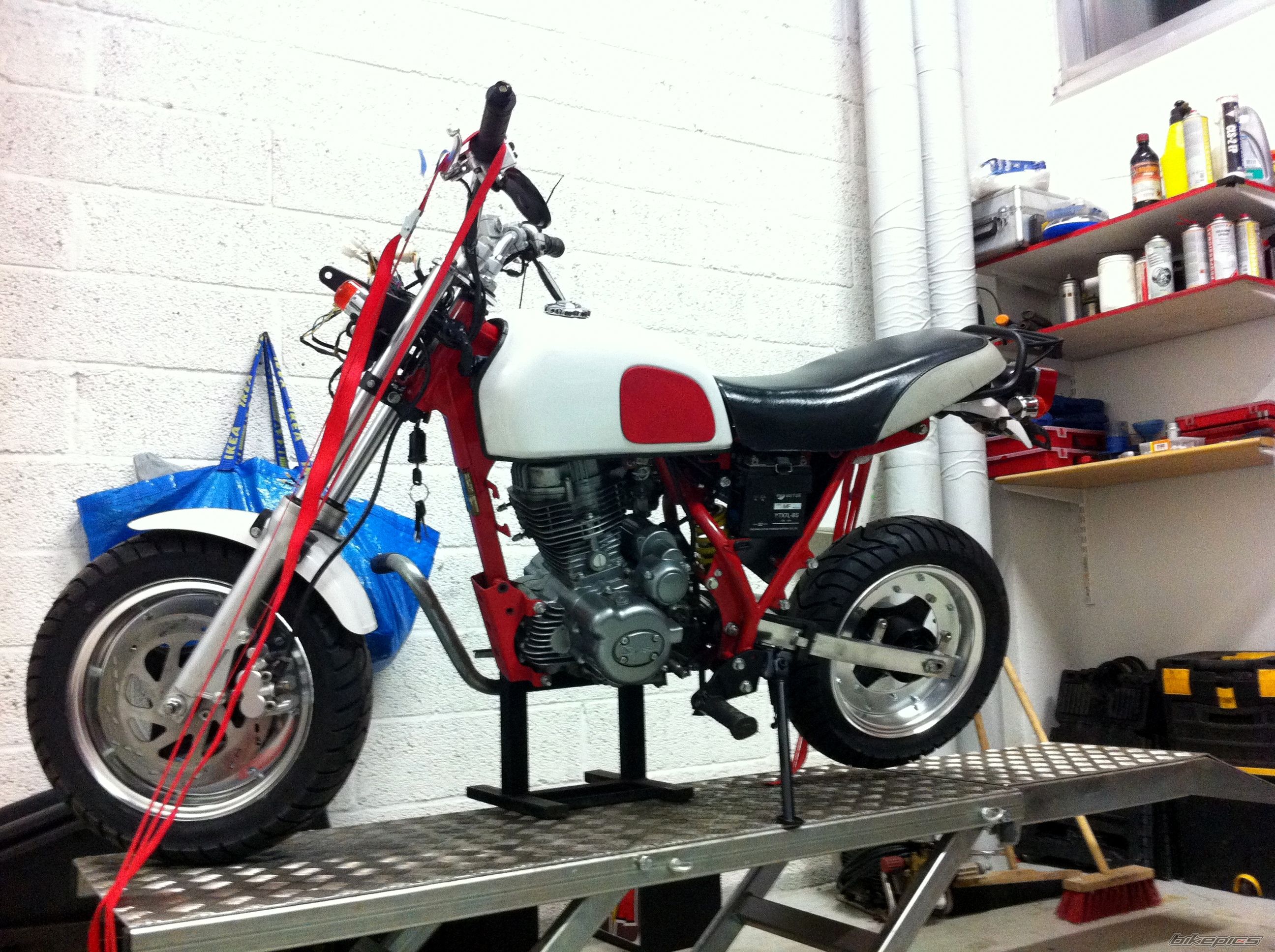 Photo 2654554