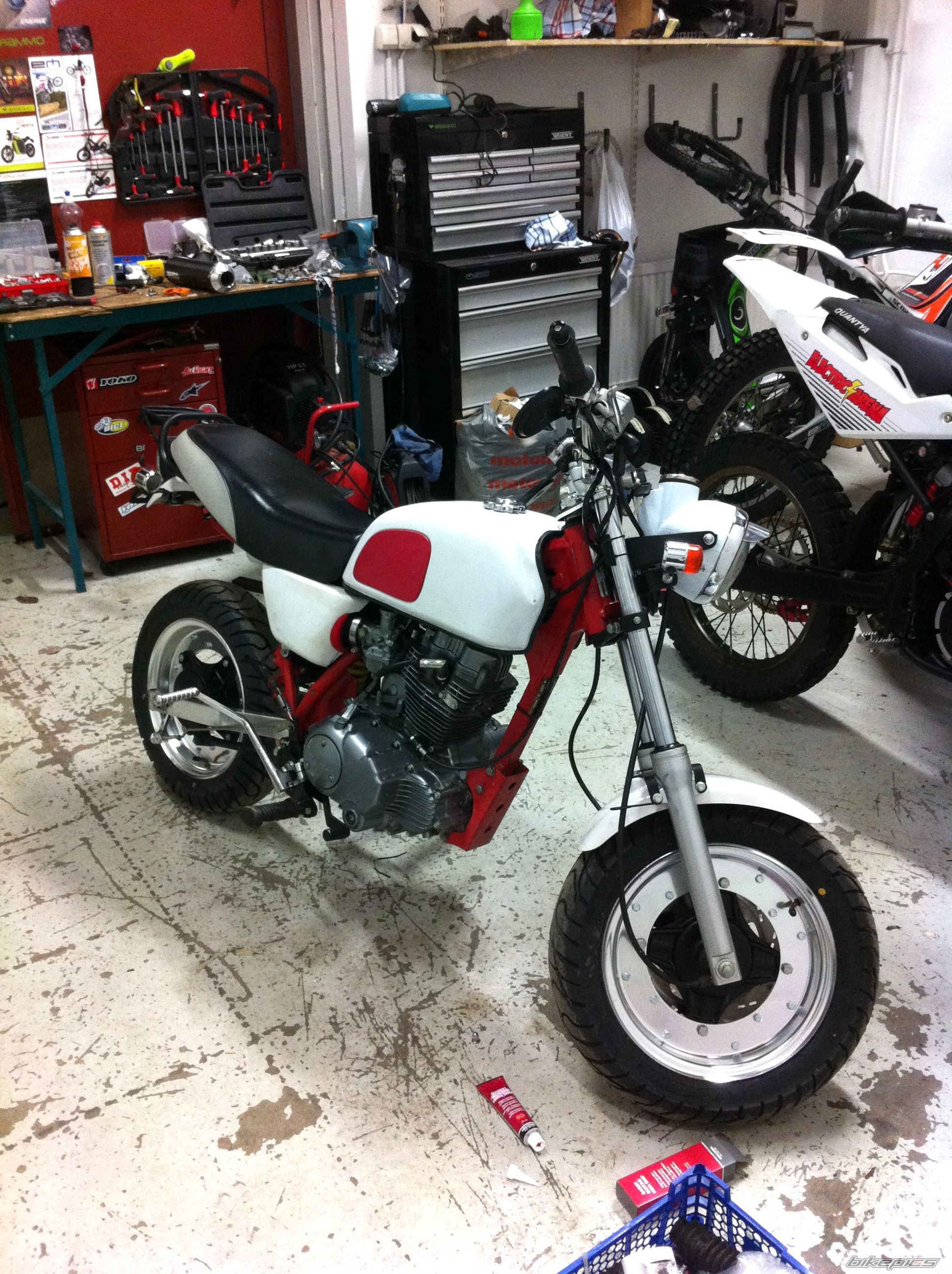Photo 2654558