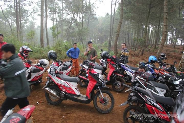 Photo 2654568