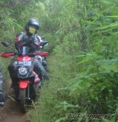 Photo 2654572
