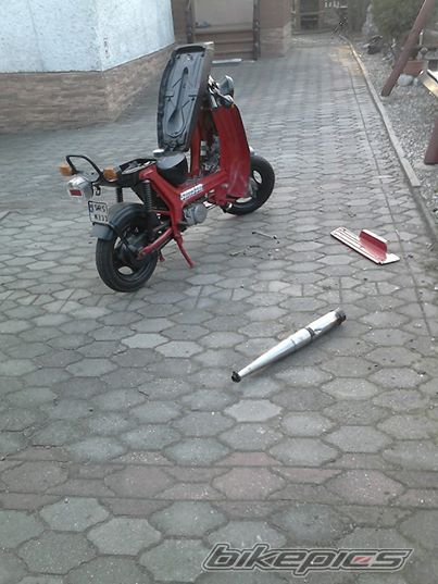 Photo 2654580