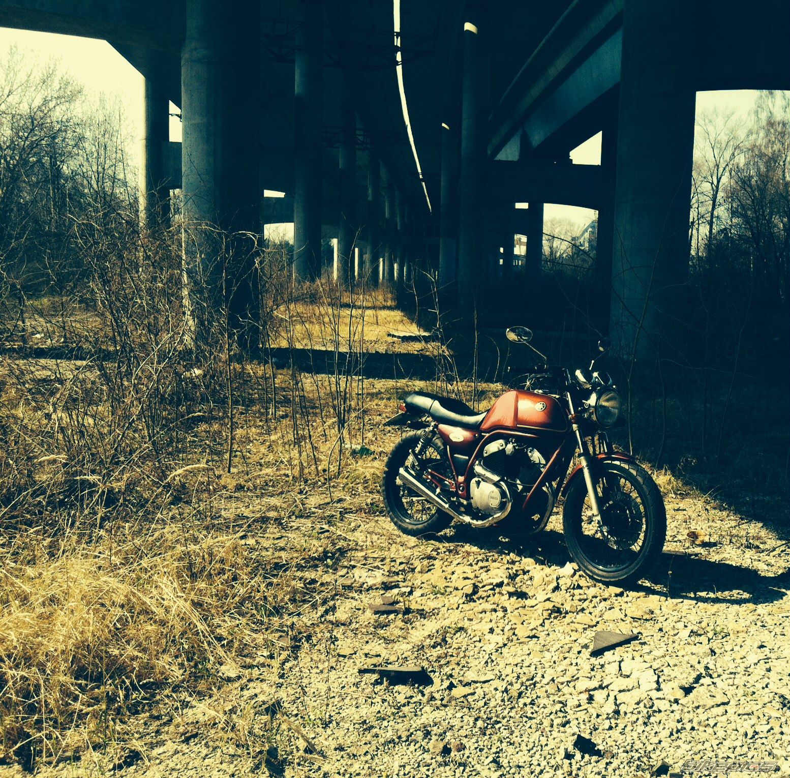 Photo 2654637