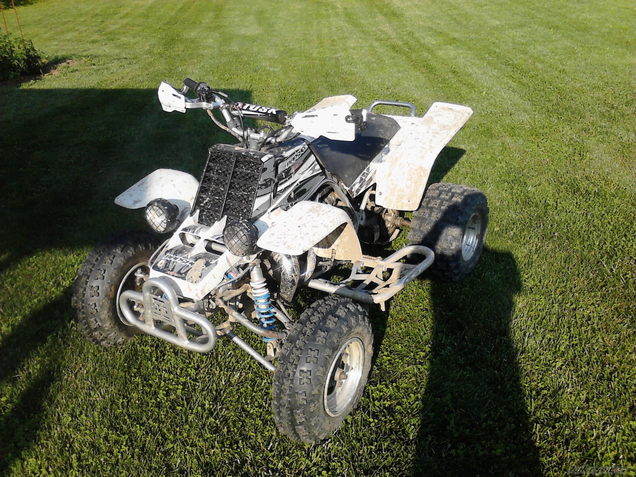 Photo 2654761
