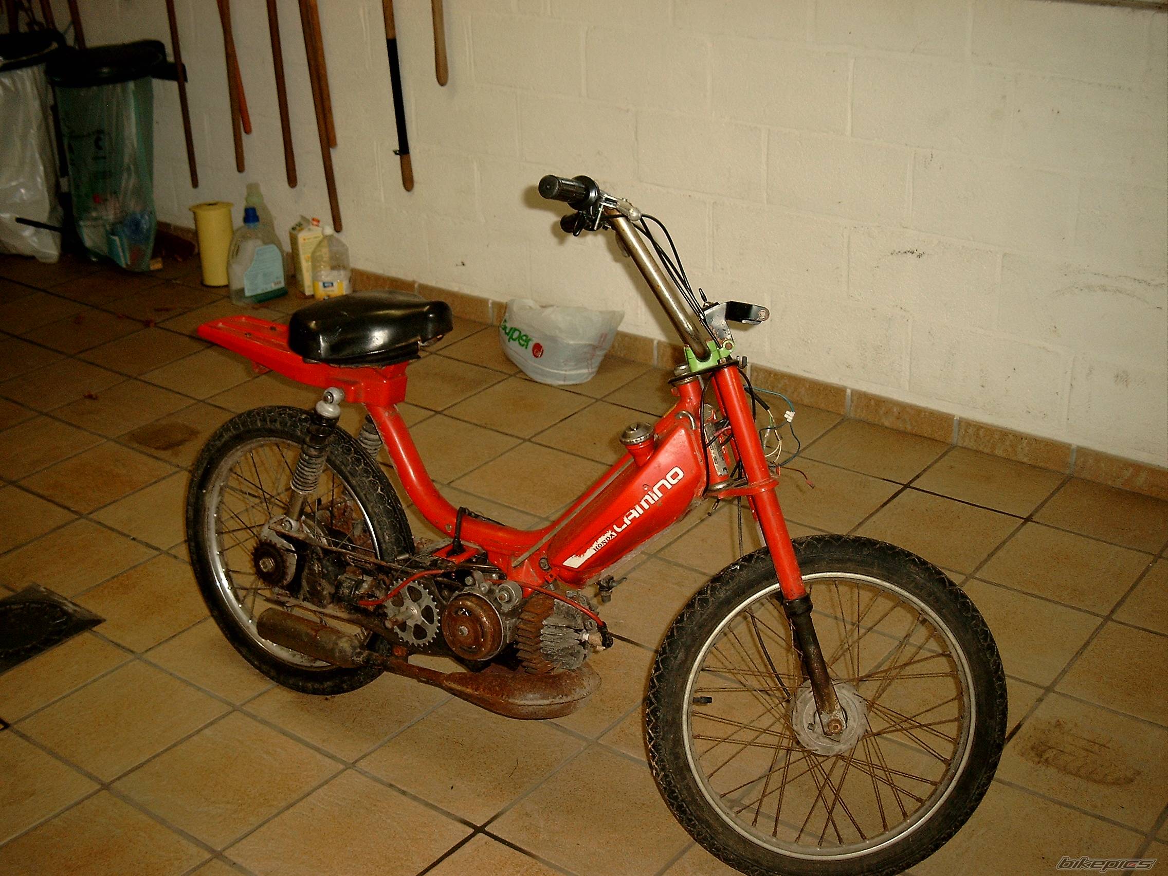Photo 265478
