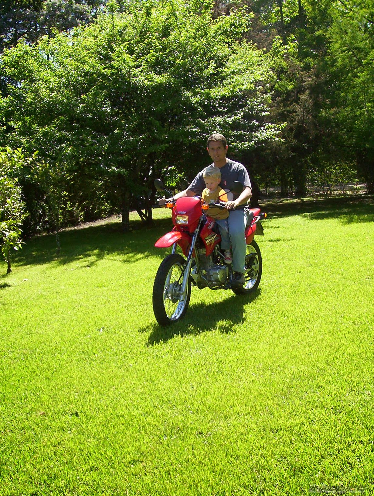 Photo 2654854