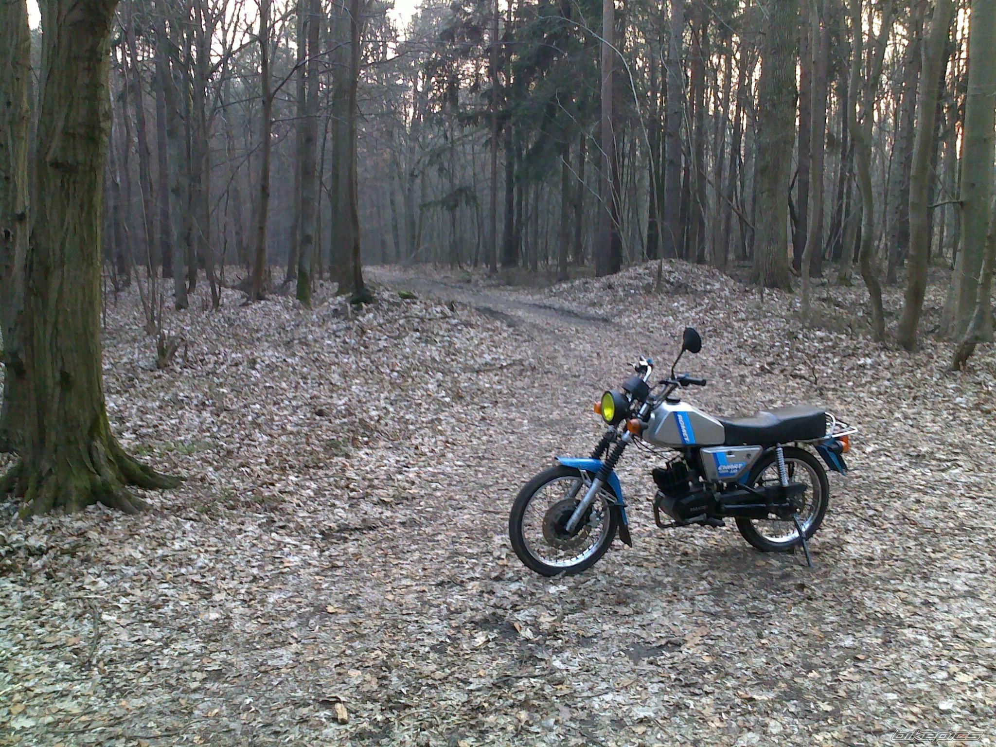 Photo 2655152