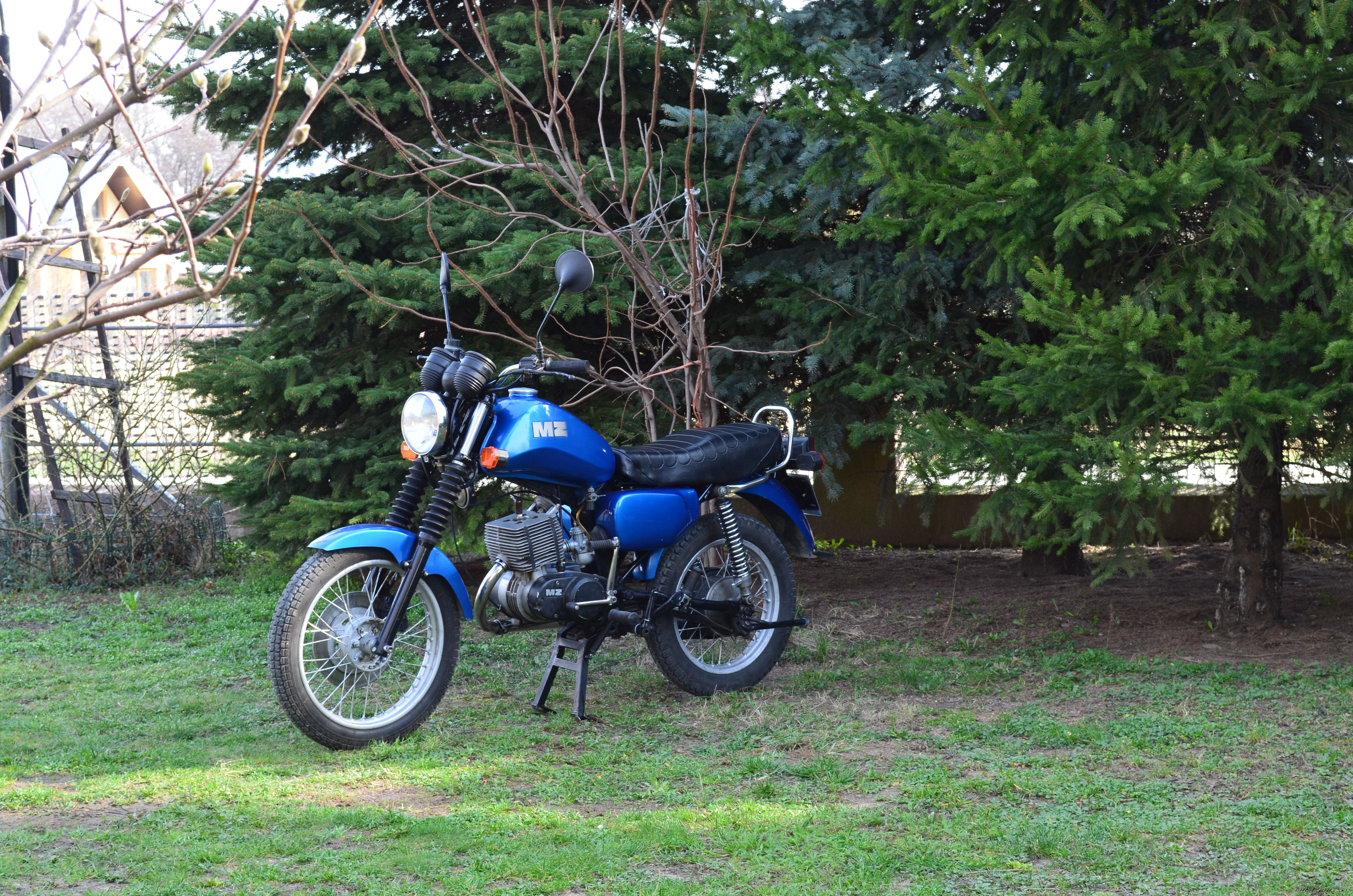 Photo 2655194