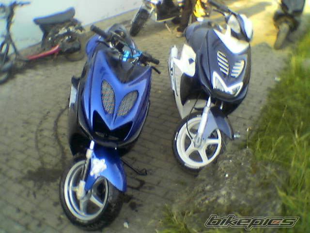 Photo 265537