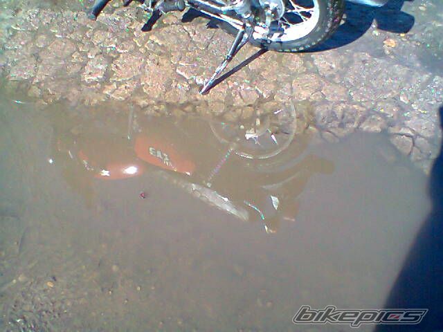 Photo 2655402
