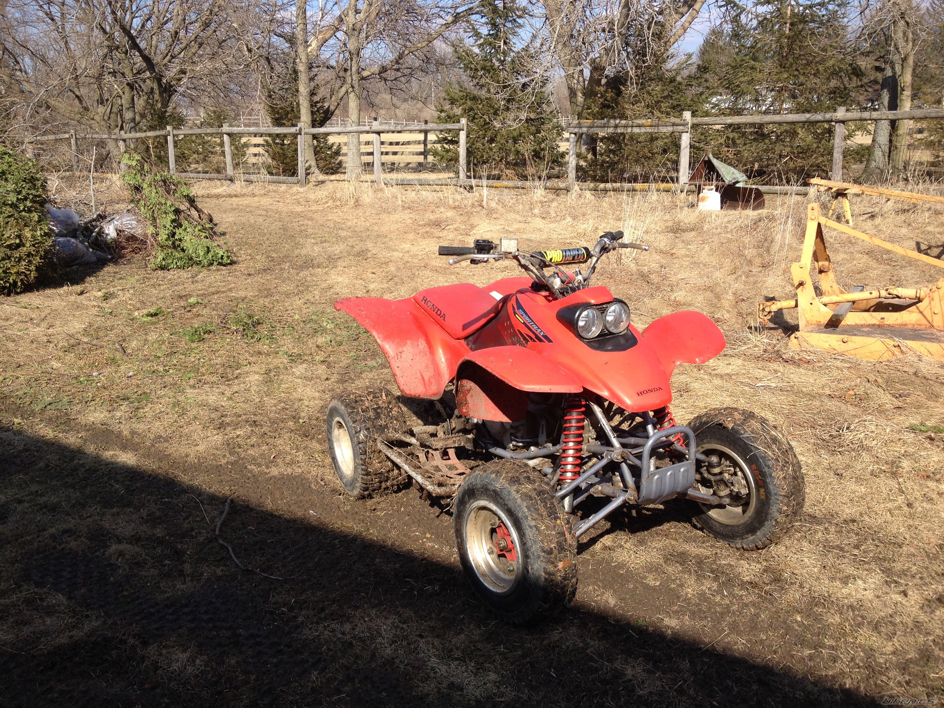Photo 2655482