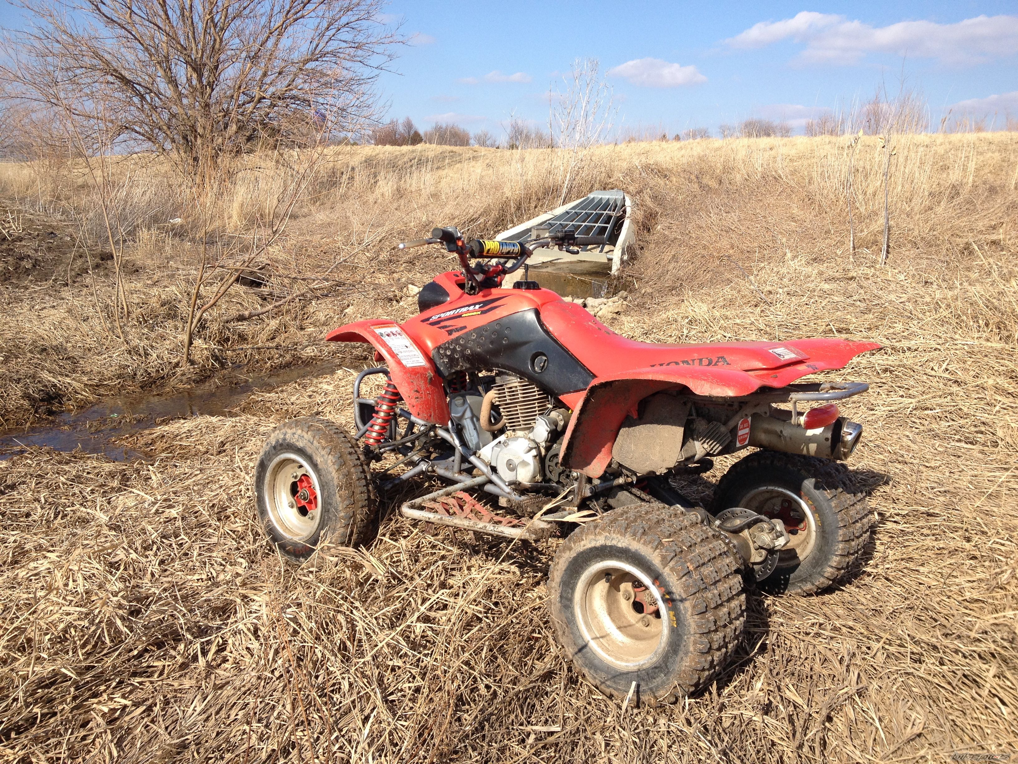 Photo 2655483
