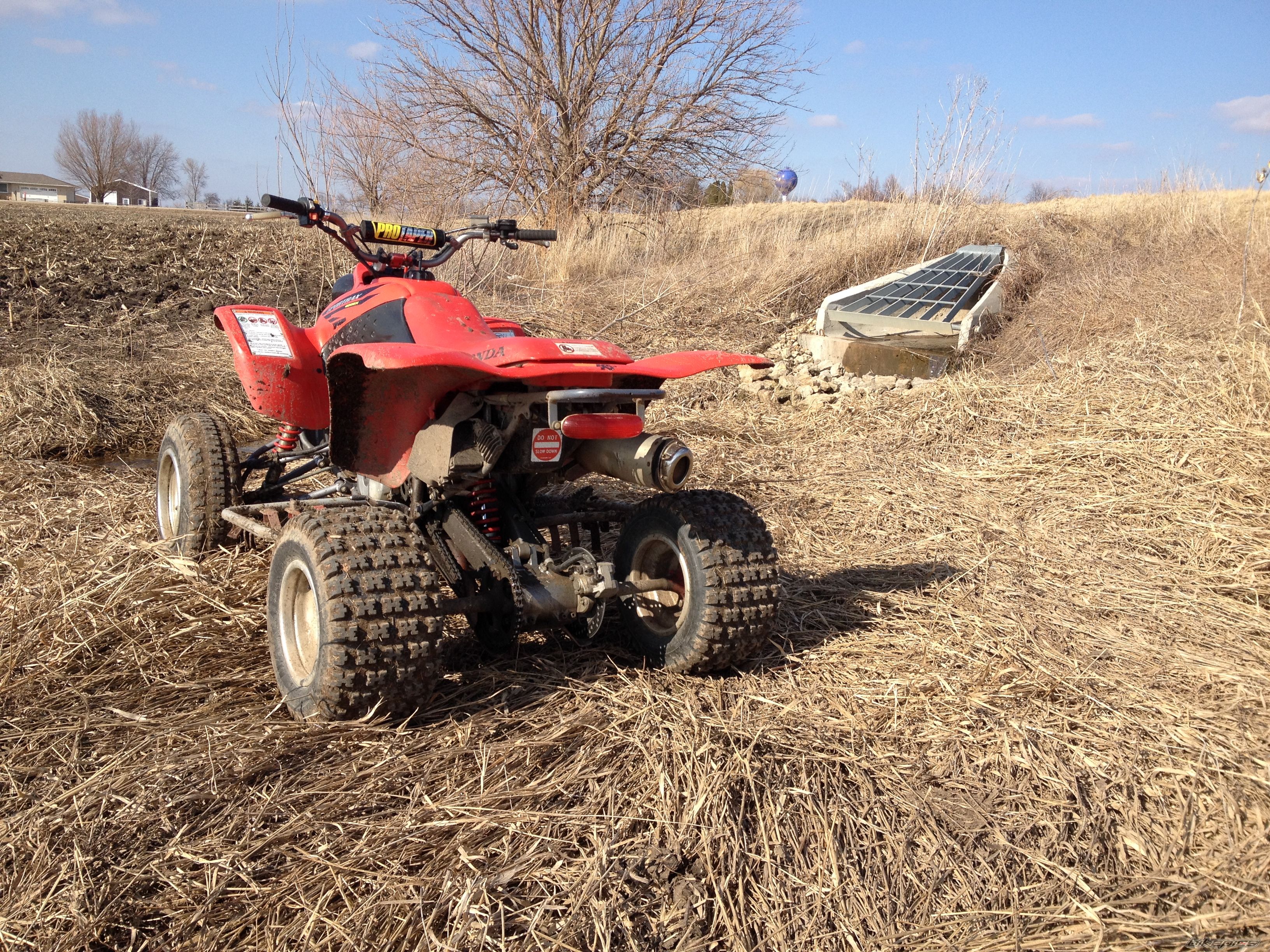 Photo 2655484