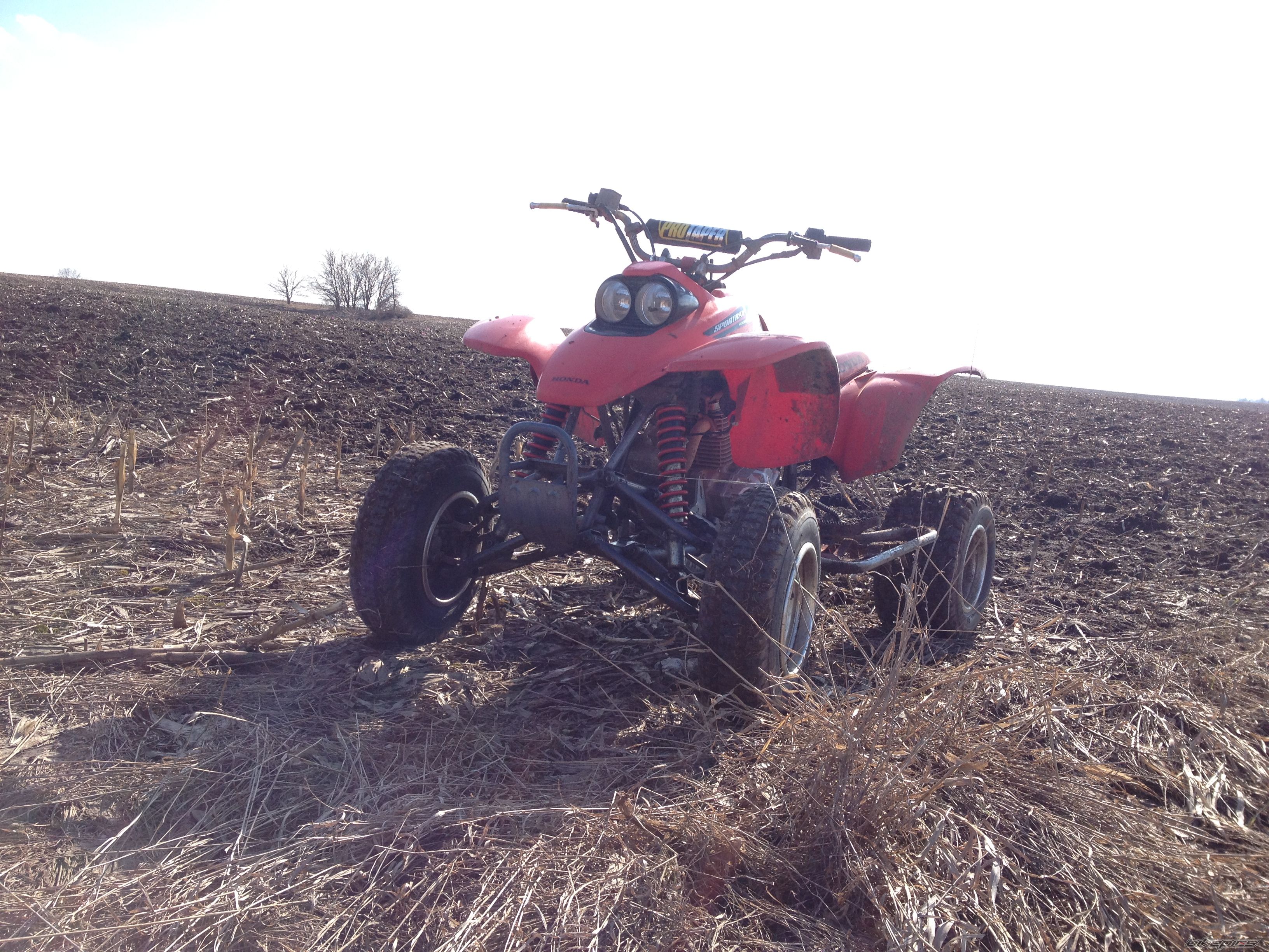 Photo 2655485