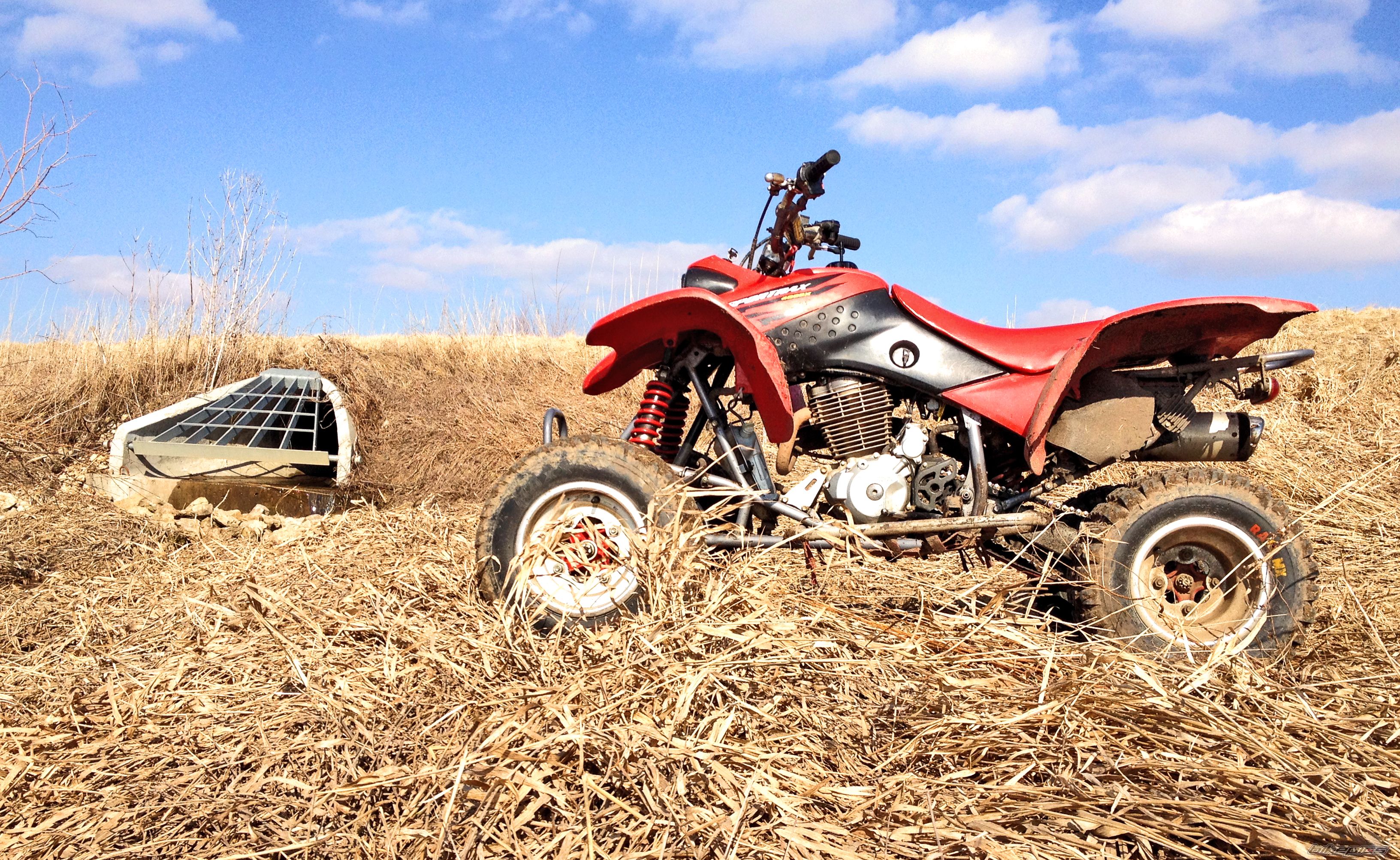 Photo 2655487