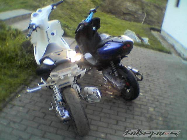 Photo 265555
