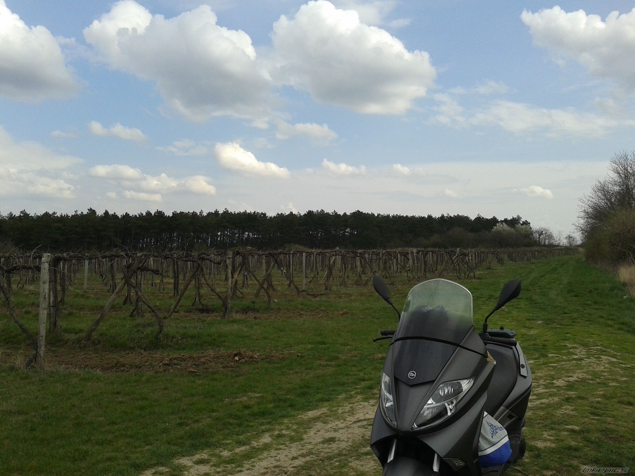 Photo 2655662
