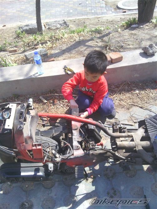 Photo 2655666
