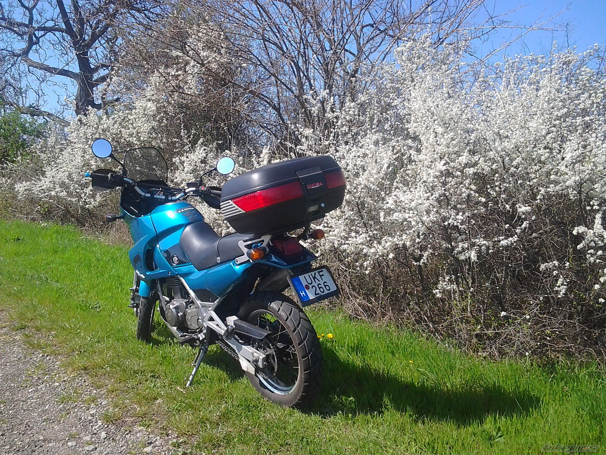 Photo 2655688
