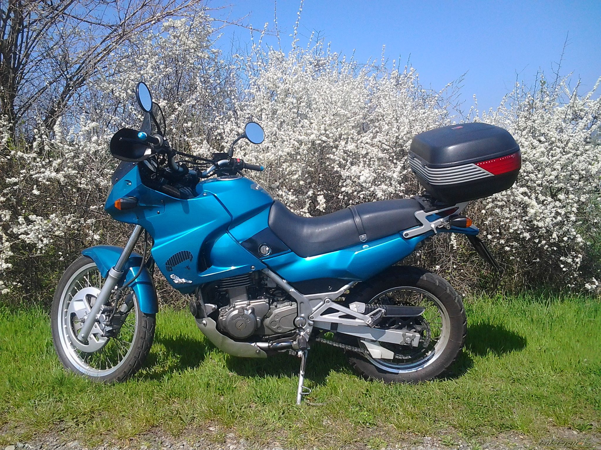 Photo 2655689