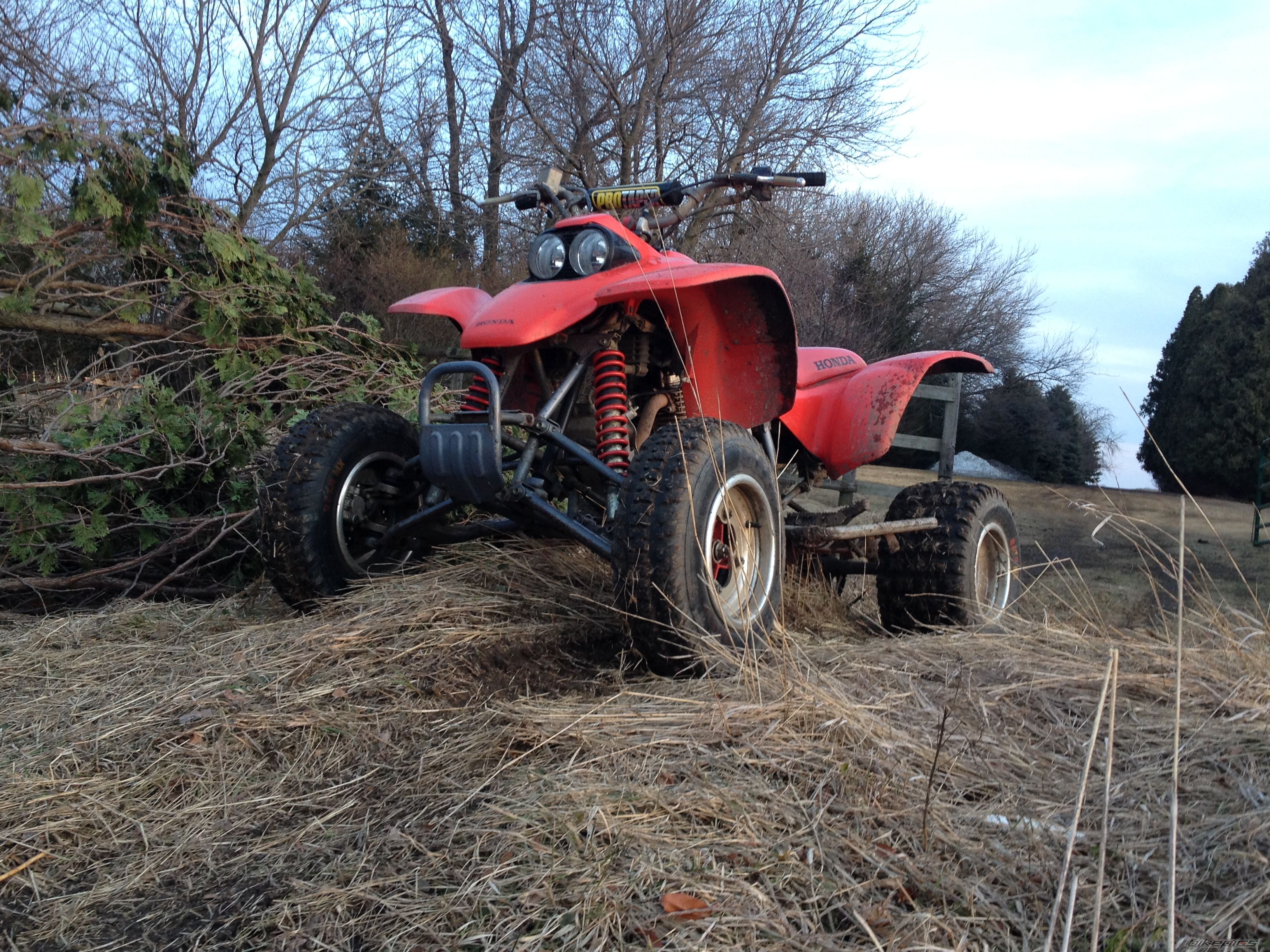 Photo 2655924