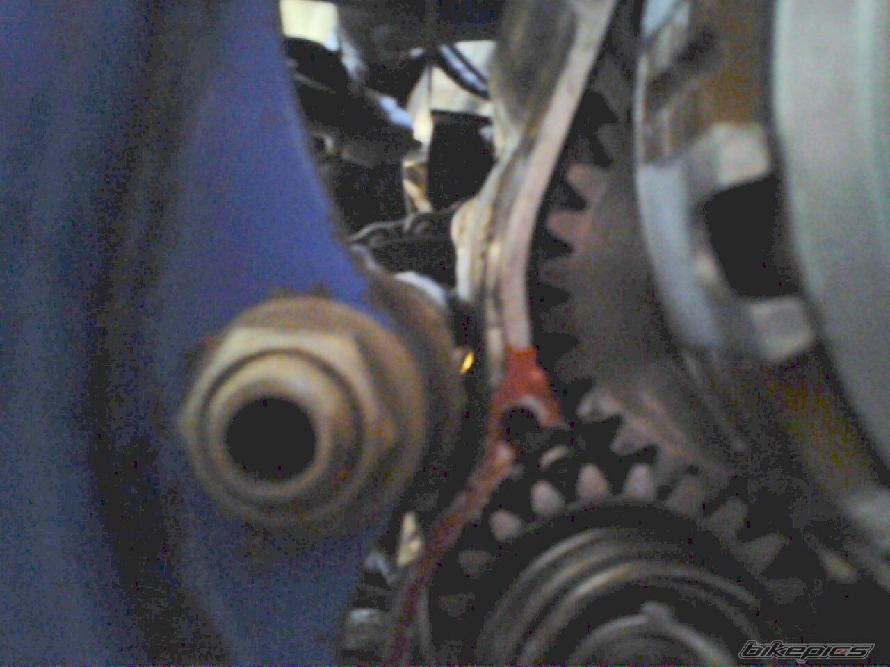 Photo 2655953