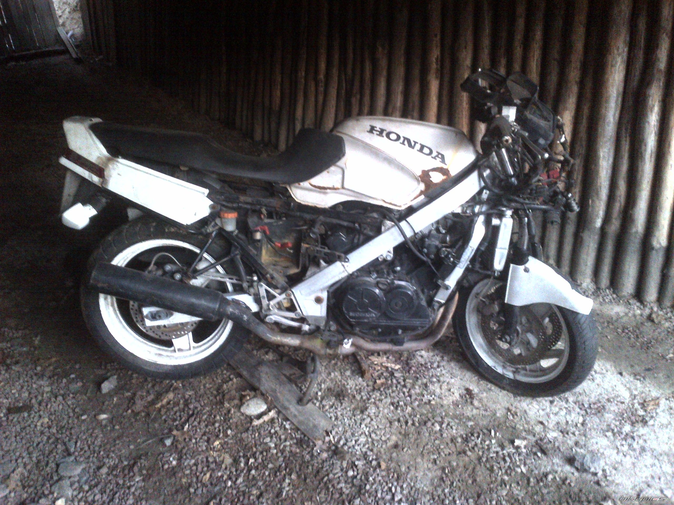 Photo 2655965