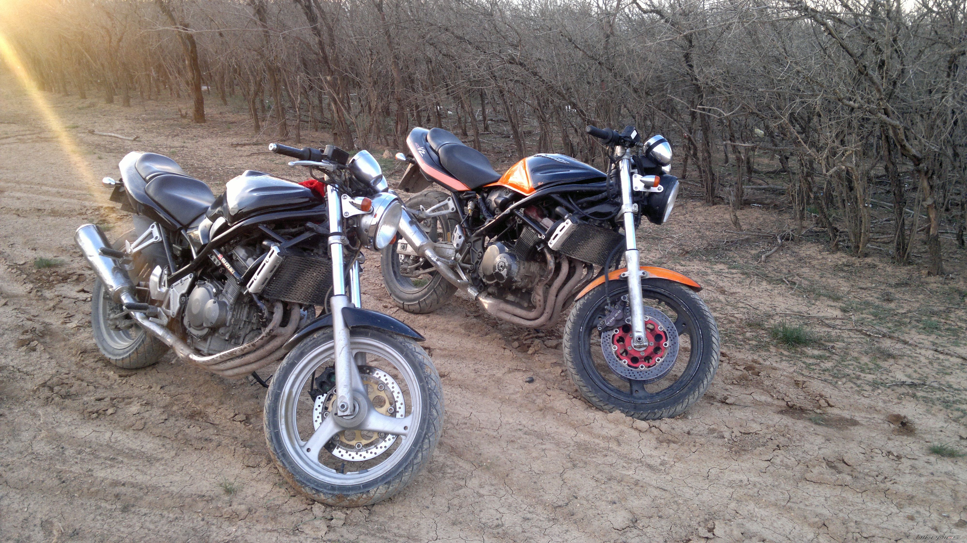 Photo 2656013