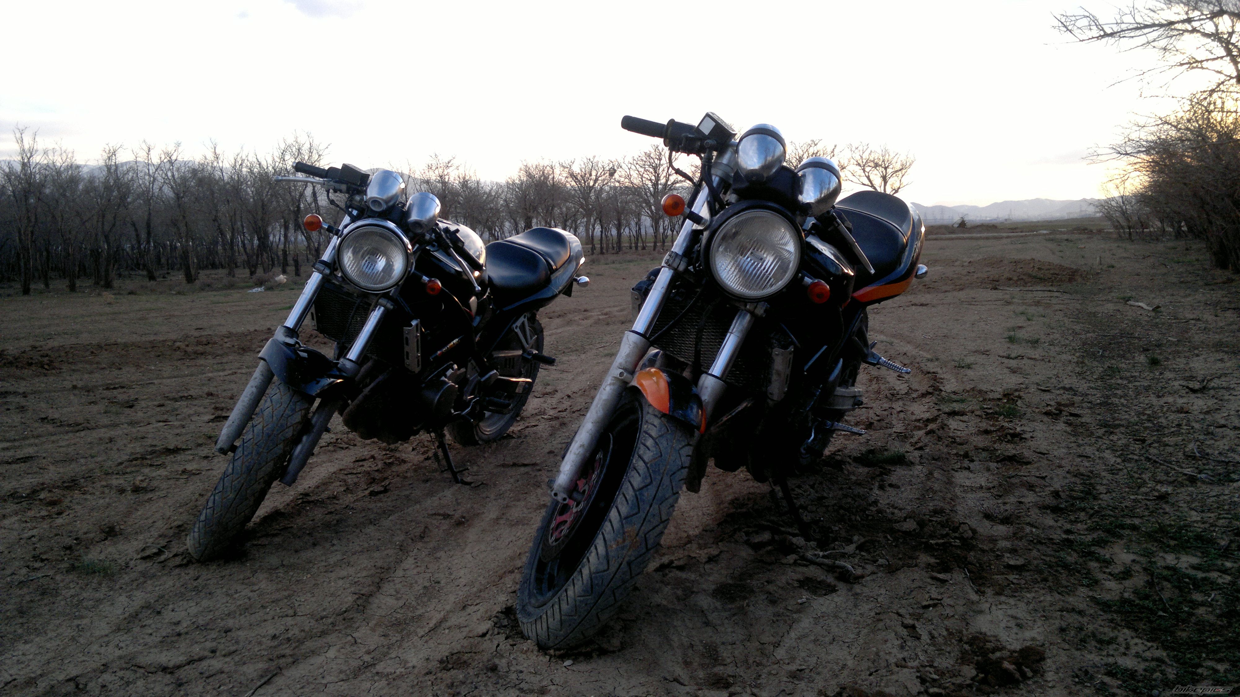 Photo 2656014