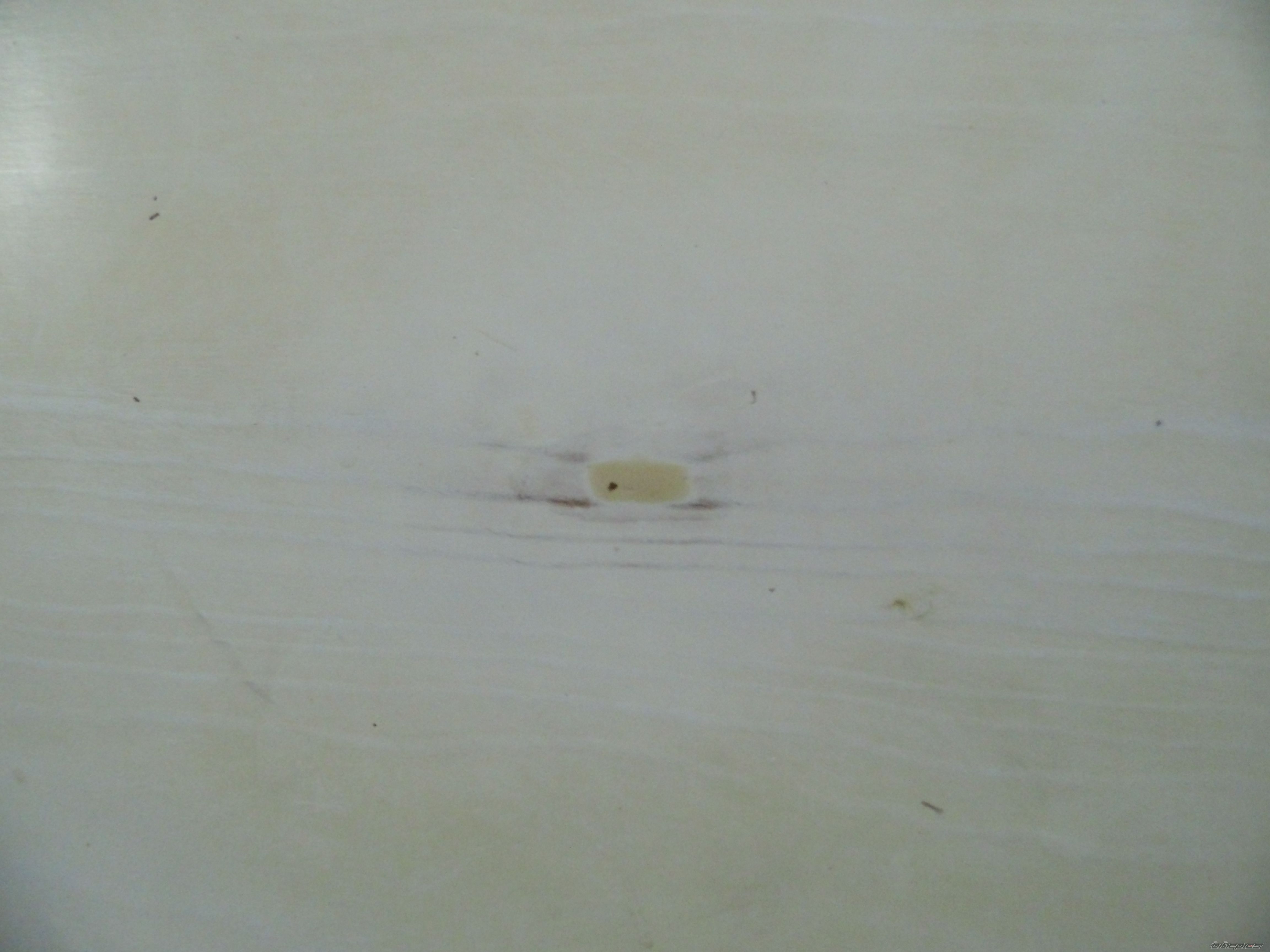 Photo 2656091