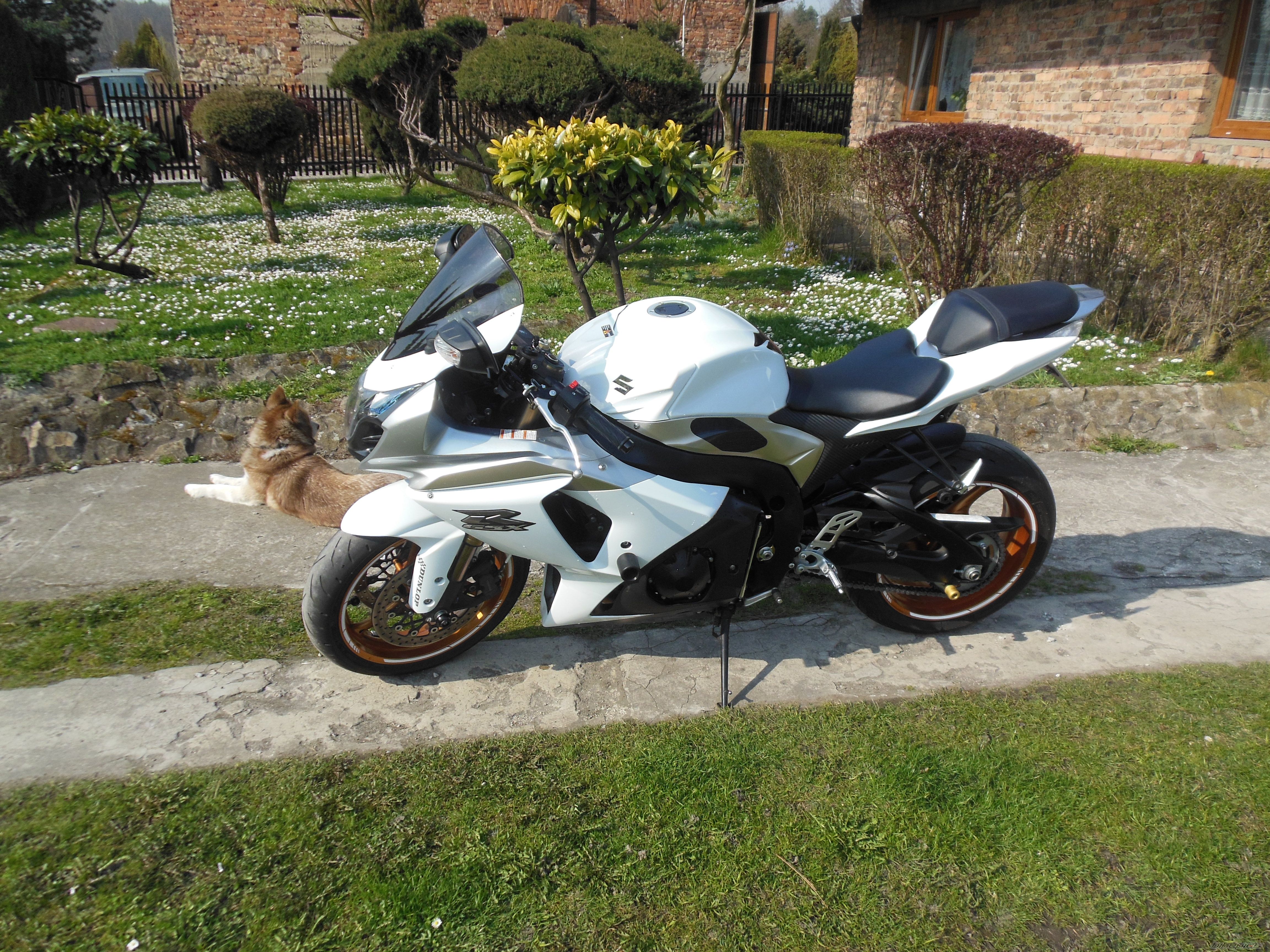Photo 2656117