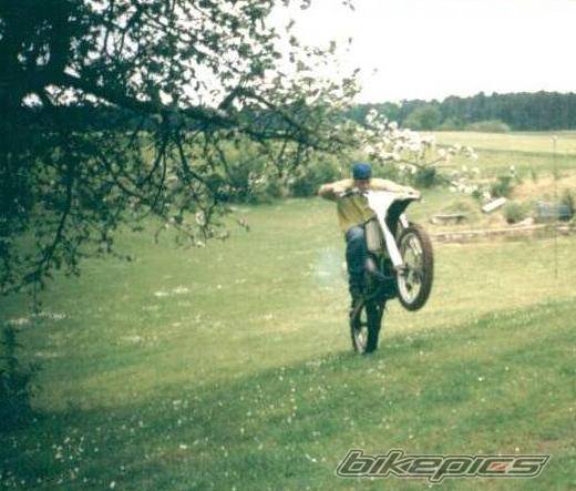 Photo 26562